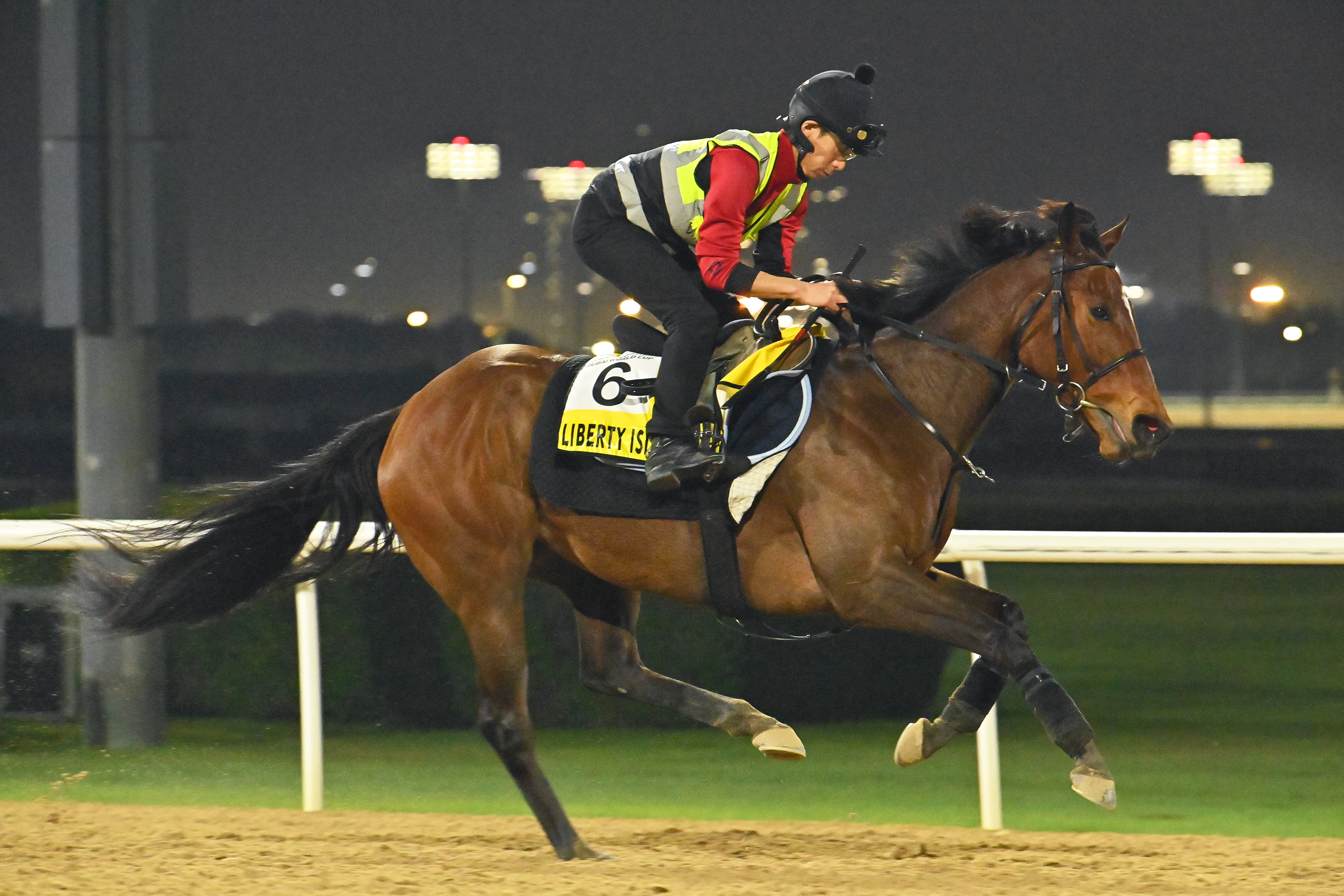 まねき馬60弾SP No.2470リバティアイランド まねき馬60弾SP No.2470リバティアイランド その他