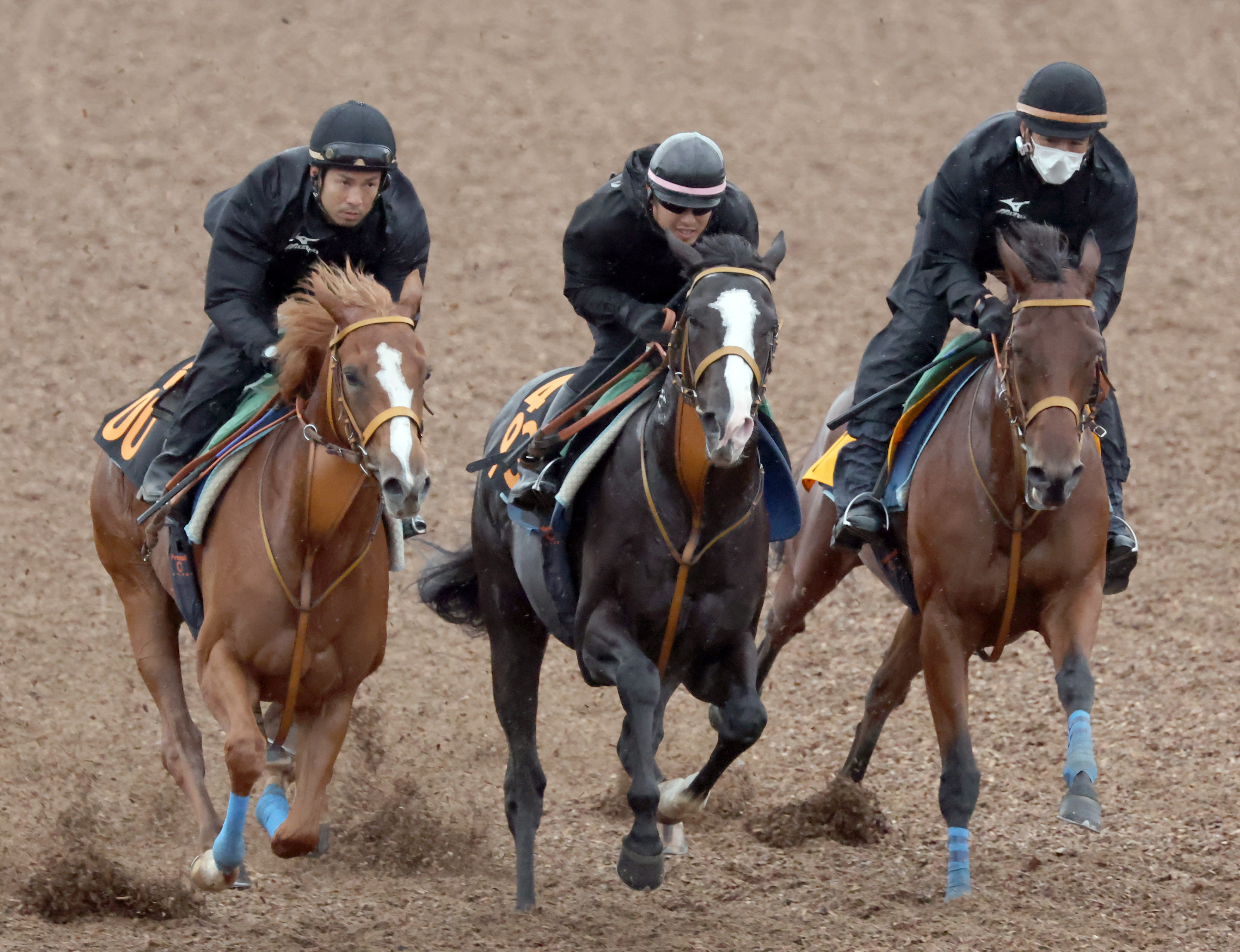 【サウジアラビアＲＣ】ゴンバデカーブースは馬なりで２勝馬と併 ...