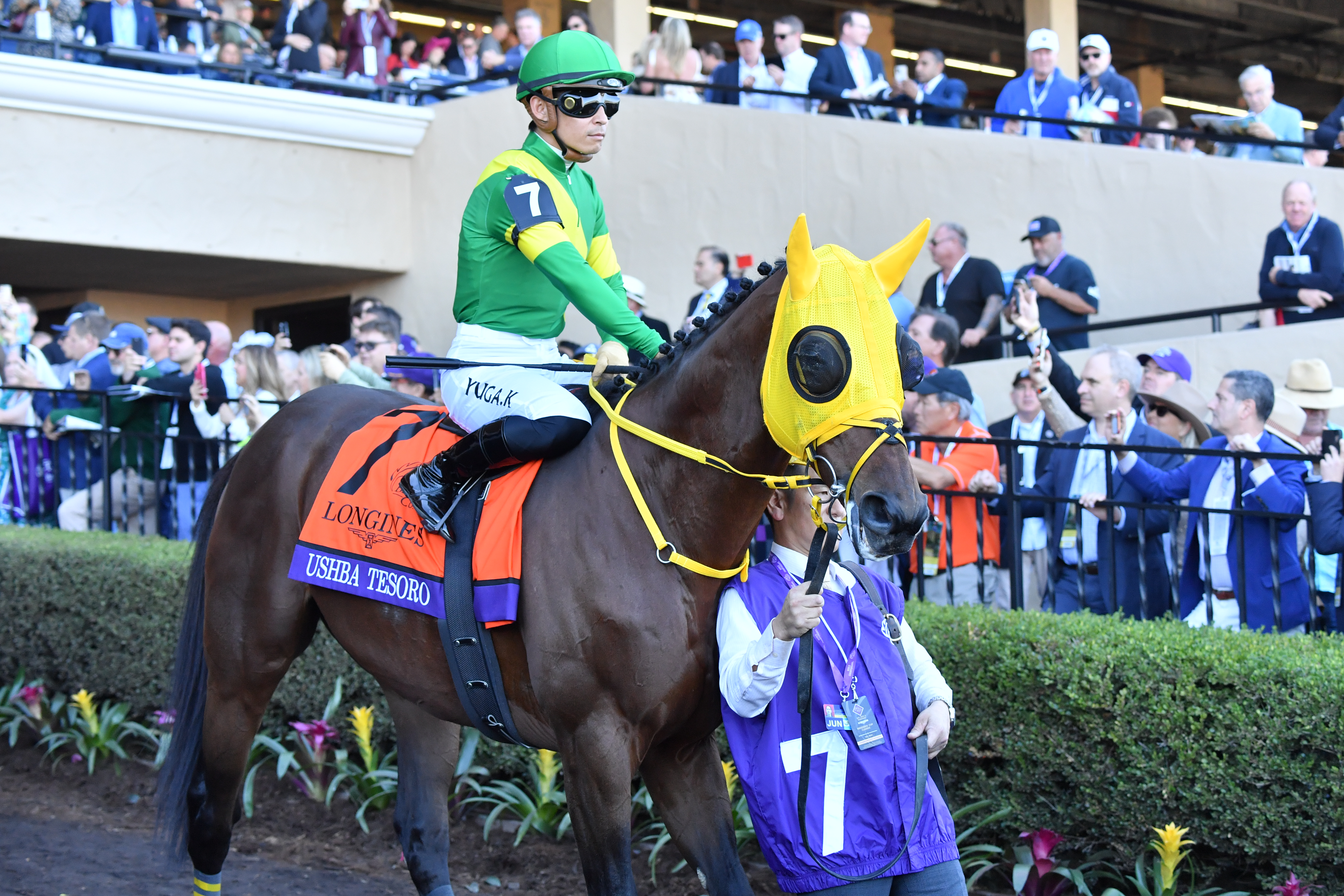 まねき馬倶楽部 海外挑戦の日本馬Best10 ウシュバテソーロ 未開封 まねき馬倶楽部 海外挑戦の日本馬Best10 ウシュバテソーロ 未