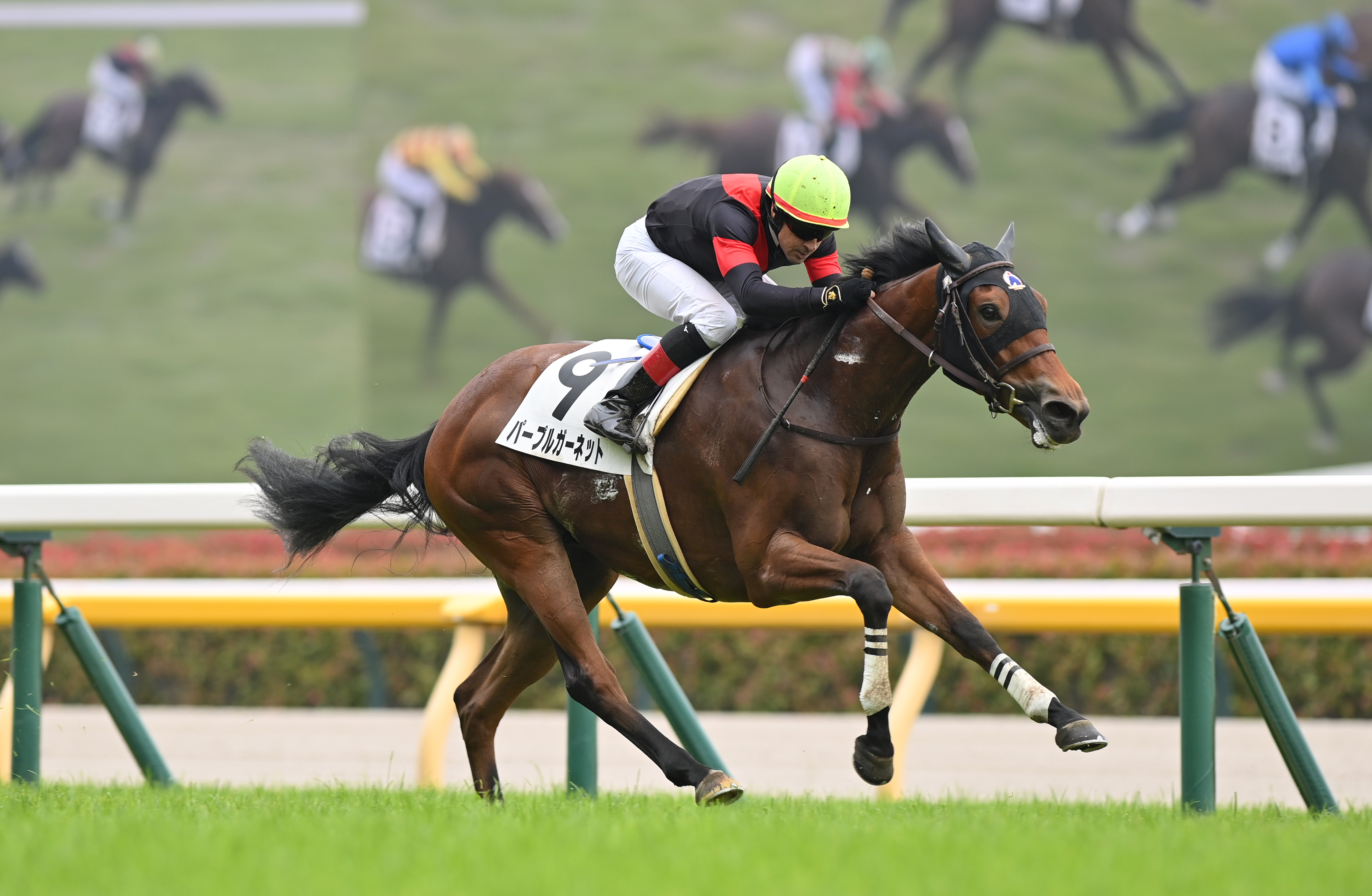2歳新馬・東京6R】パープルガーネットが力強い伸び脚で抜け出し