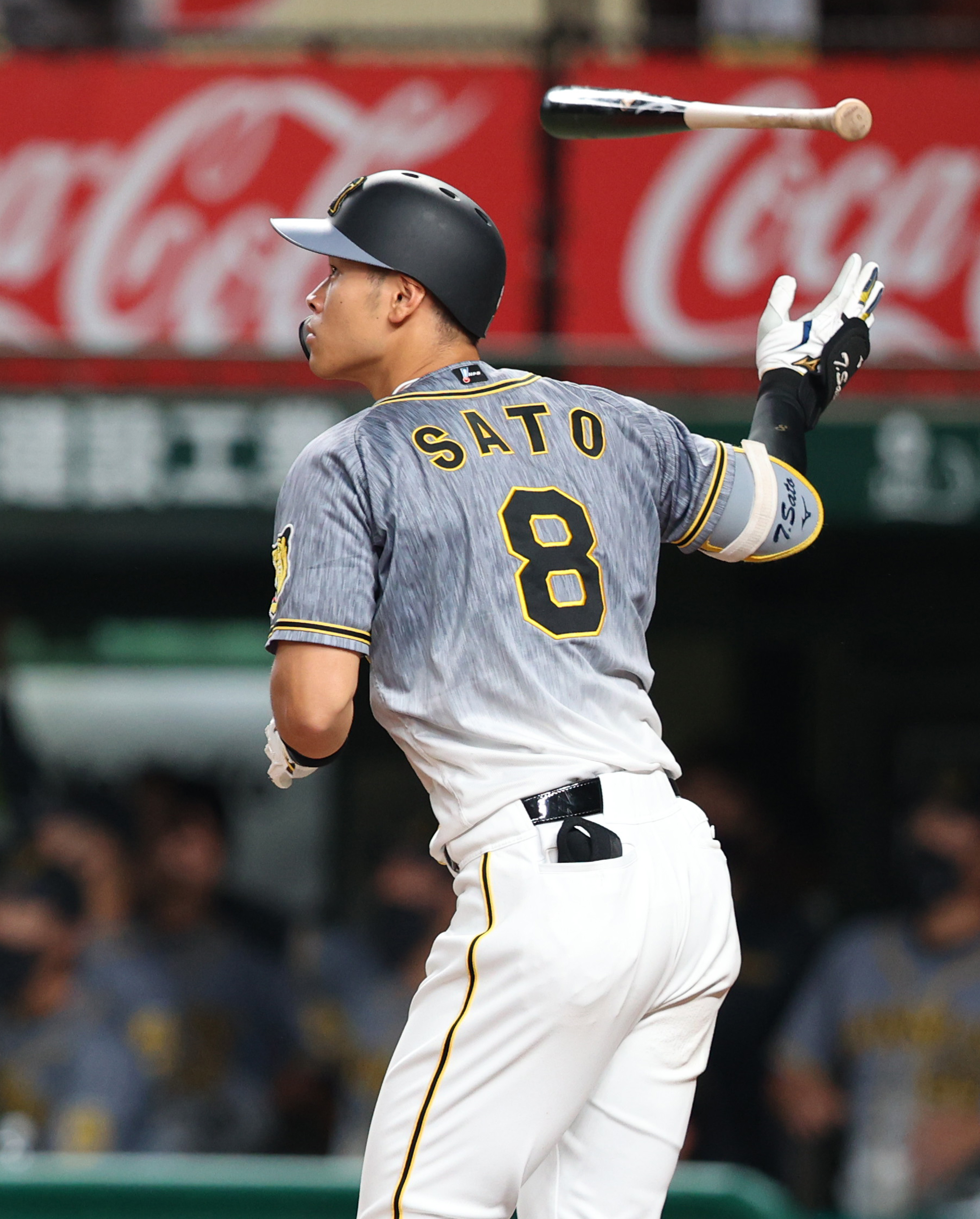 佐藤輝明選手直筆サイン入りフォトパネル1試合3本塁打