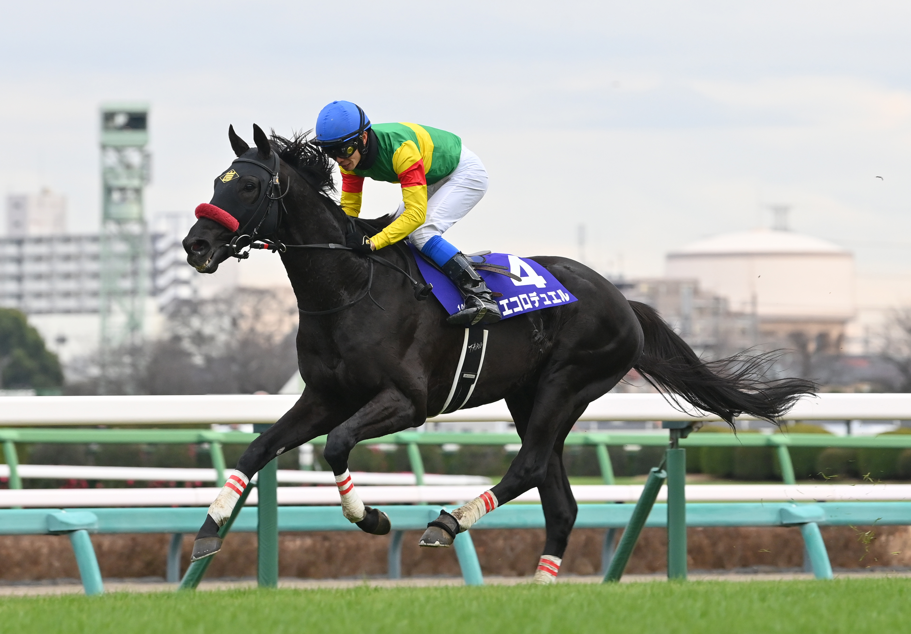 阪神スプリングJ 枠順確定】エコロデュエル2枠2番、ネビーイームは8枠