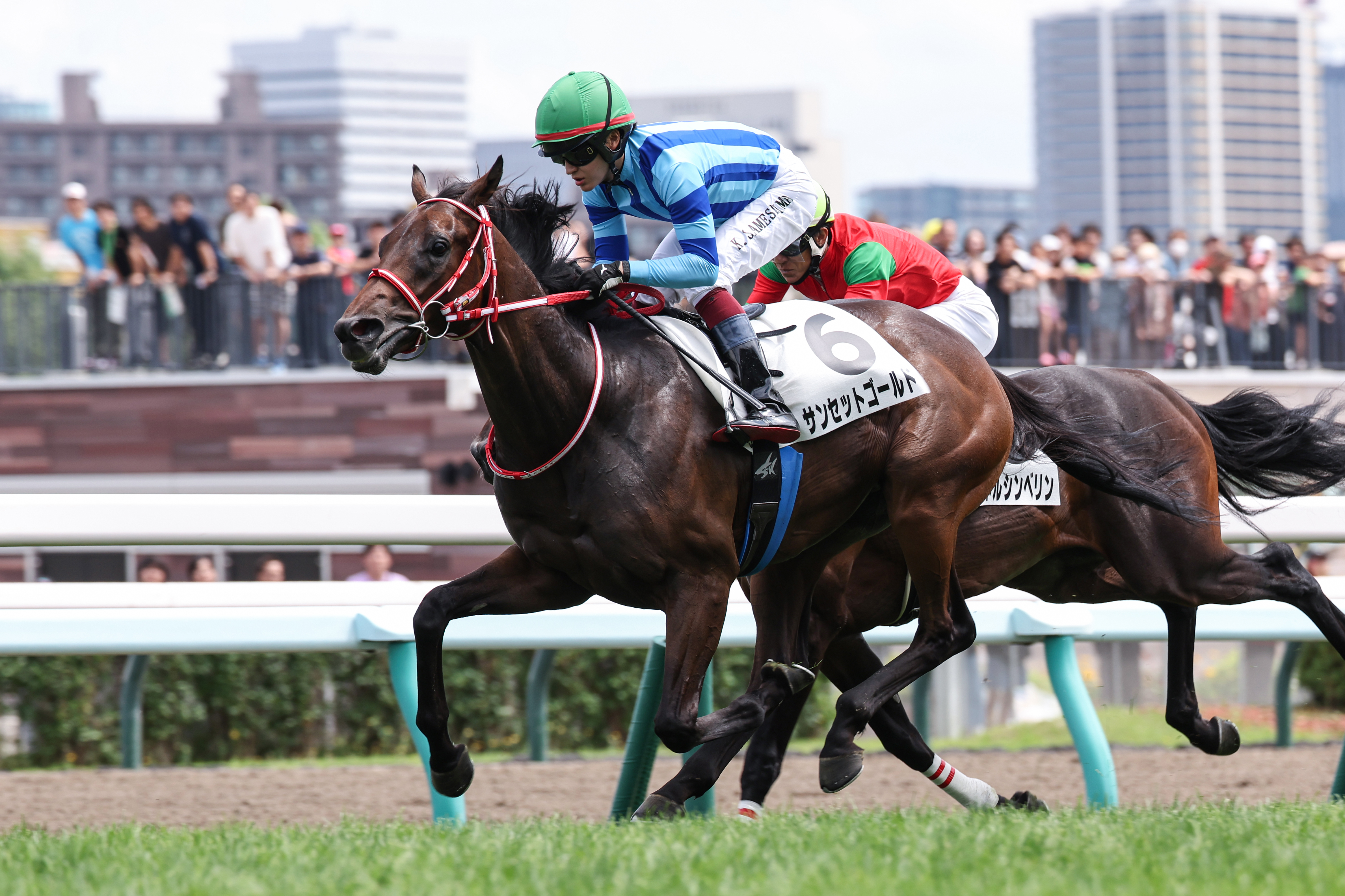 競馬パネル：ホクトベガ「1994年第30回札幌記念」 ※プレート付き 1994年 札幌記念（GⅢ） | ホクトベガ | JRA公式 - YouTube
