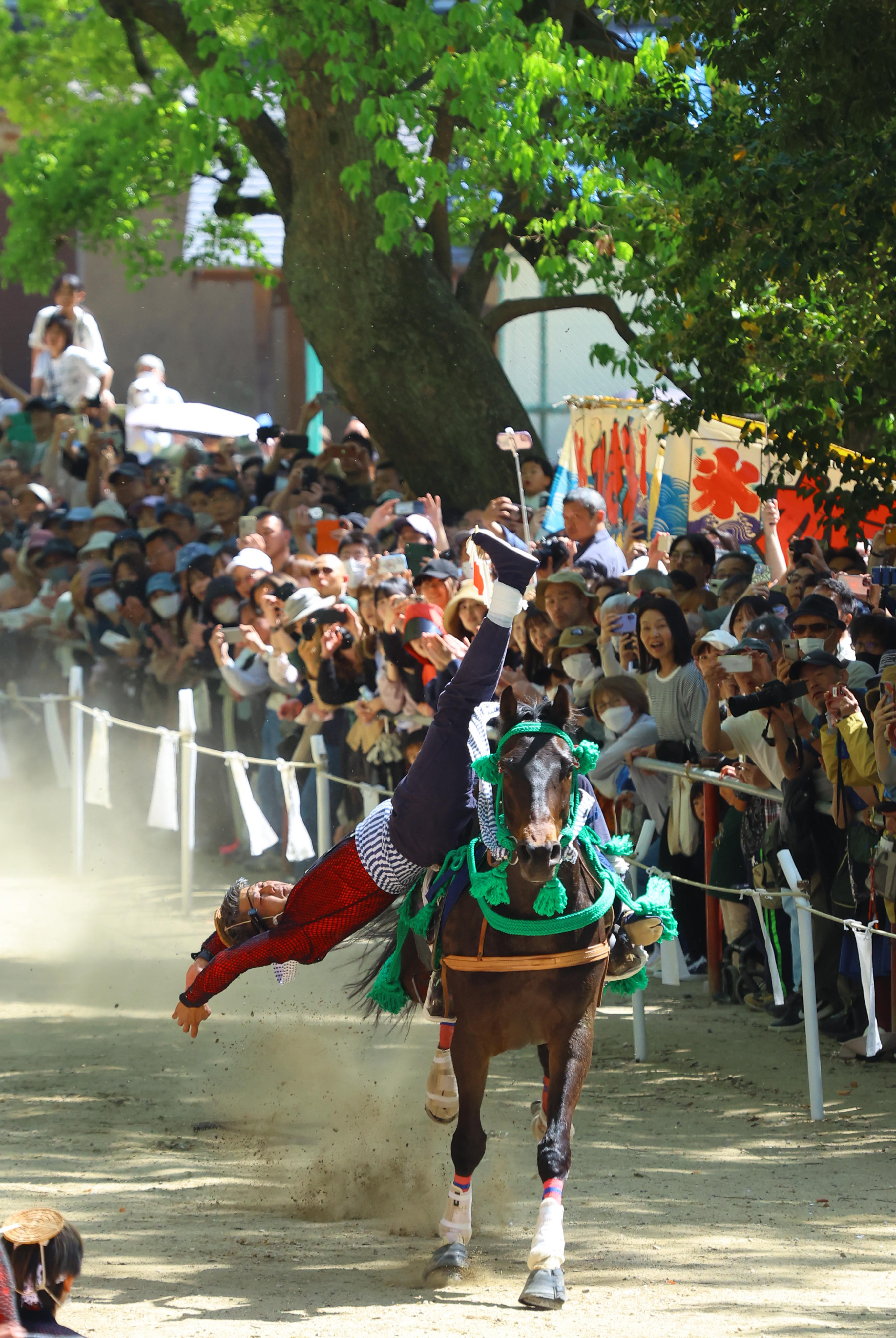 2178❣️ 瑪瑙　馬　唐馬　戦闘馬 新緑まばゆく古都を駆ける馬たち 美しく映える人馬一体の伝統の技