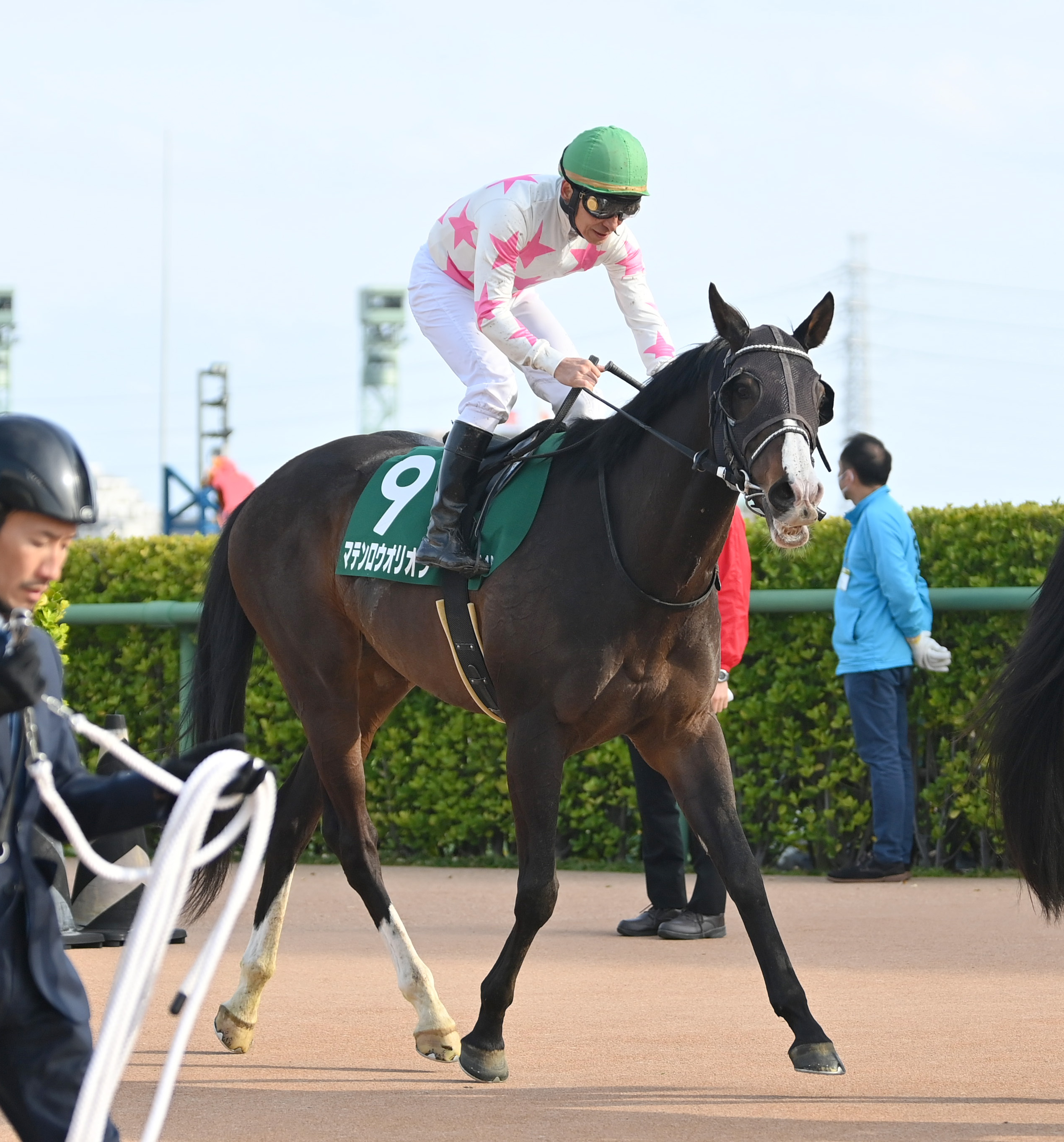 新潟大賞典】復調気配のマテンロウオリオン 昆師「二千までは大丈夫
