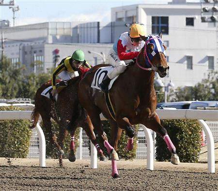 美人すぎる騎手ミシェル騎手が地方競馬初勝利「やった、という気持ち