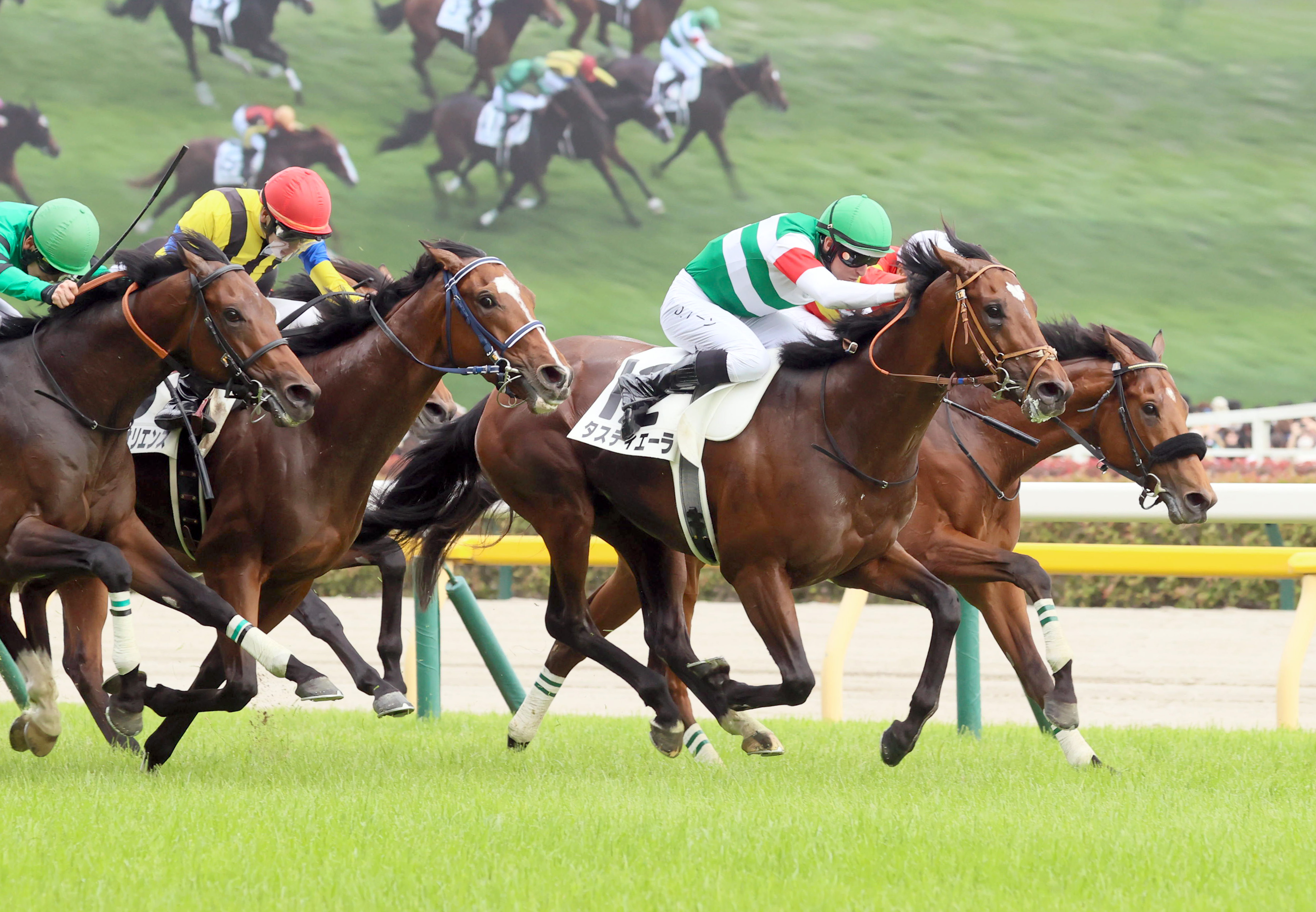 大阪杯の注目点】昨年のダービー馬タスティエーラが今年初出走