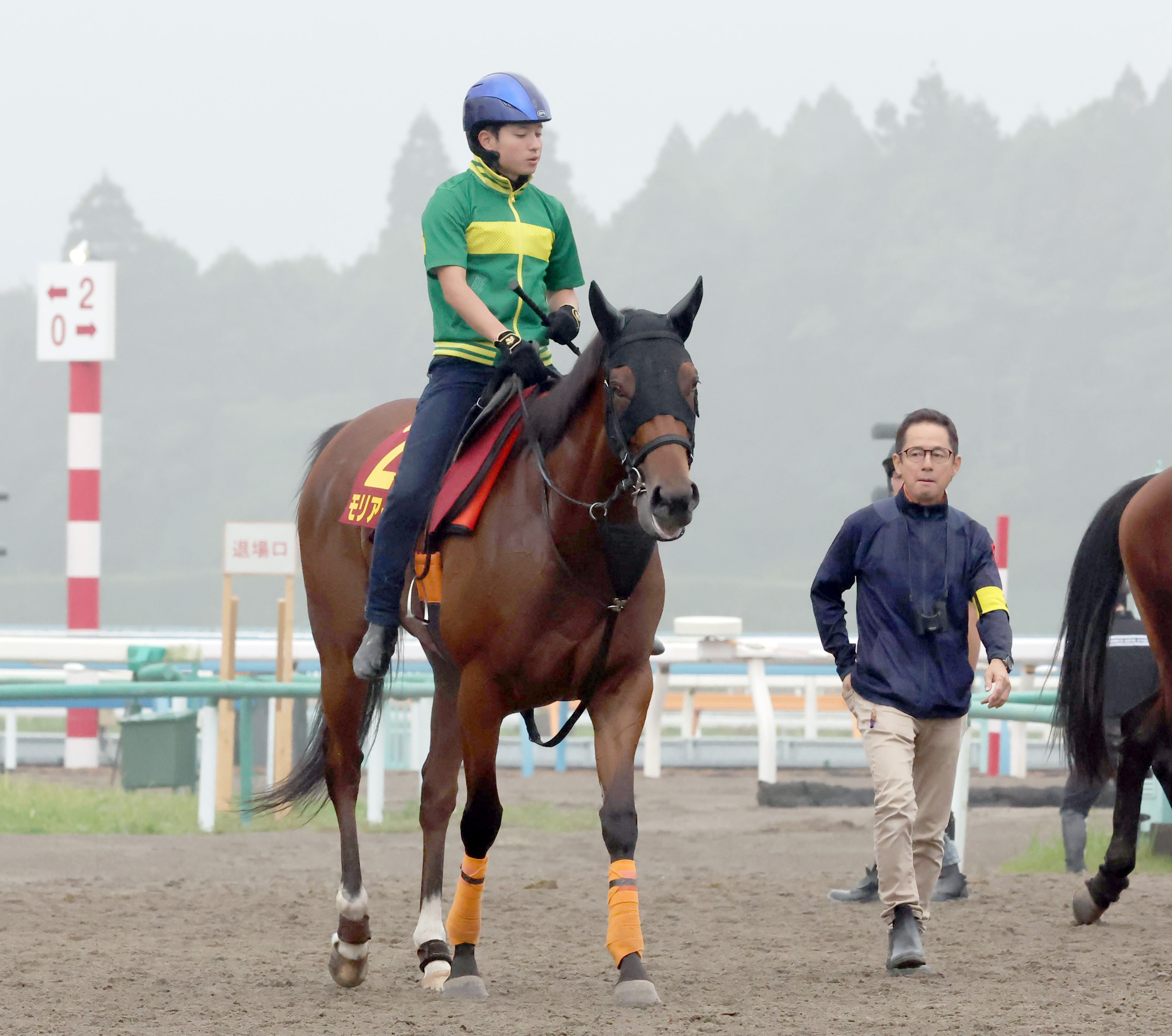 【秋華賞】紫苑Ｓ快勝のモリアーナは枠⑧番 武藤師「末広がりの ...