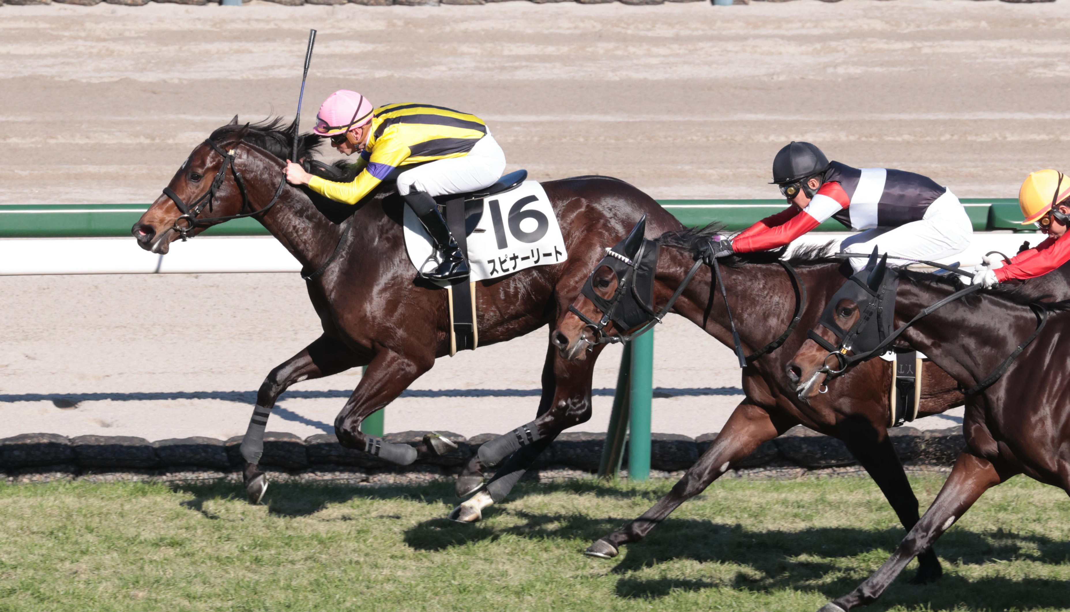 2歳新馬・阪神5R】スピナーリートが果敢に逃げて押し切りV - サンスポZBAT!