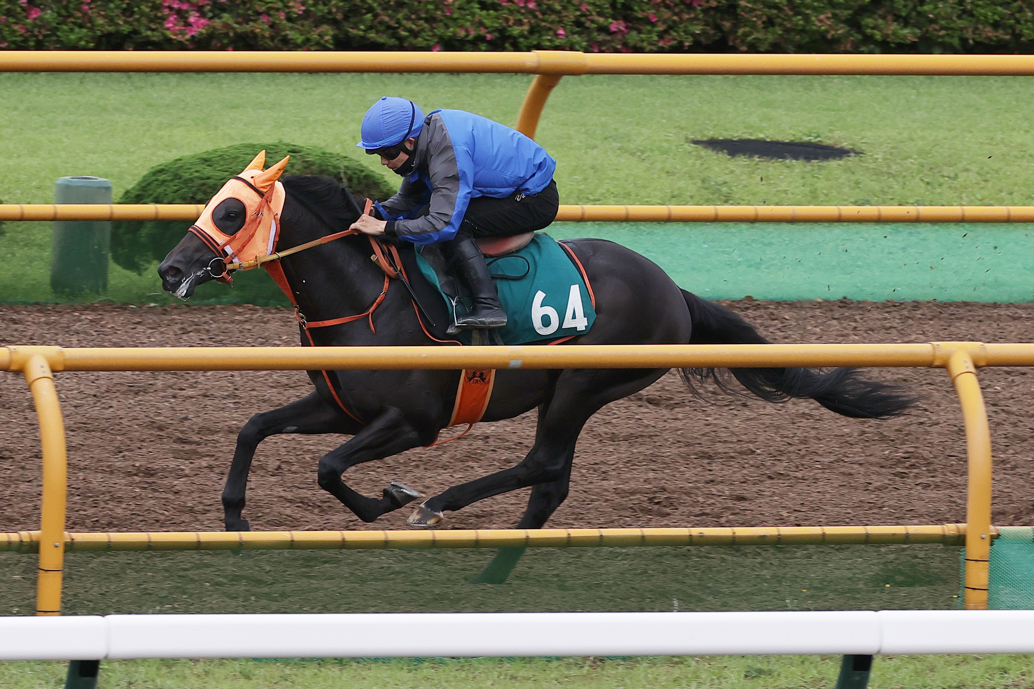 【当選品】函館競馬場　函館2歳S　レプリカゼッケン　ラインパシオン　大江原比呂 函館2歳S1週前】46年ぶりに2歳レコード更新のカイショーが
