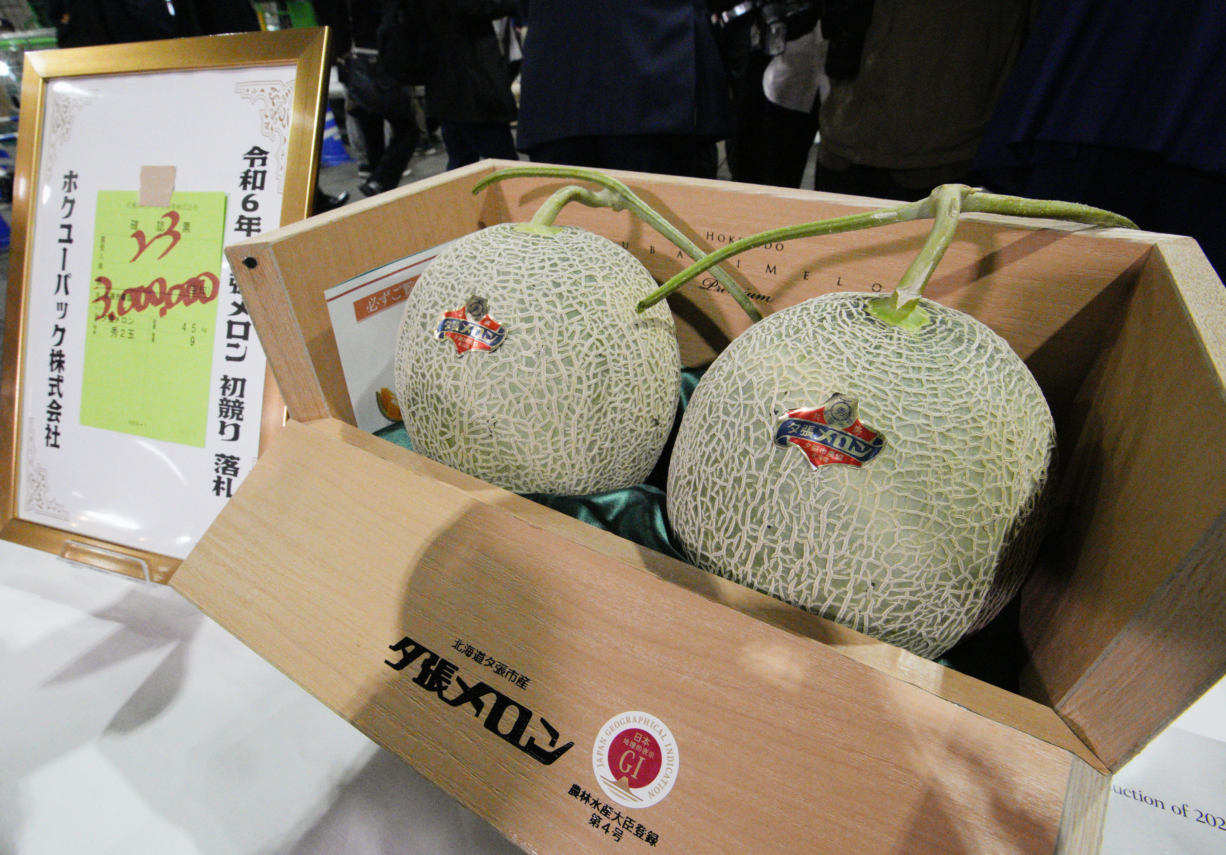 夕張メロン2玉3百万円 札幌の卸売市場で初競り 生育良く、品質は上々
