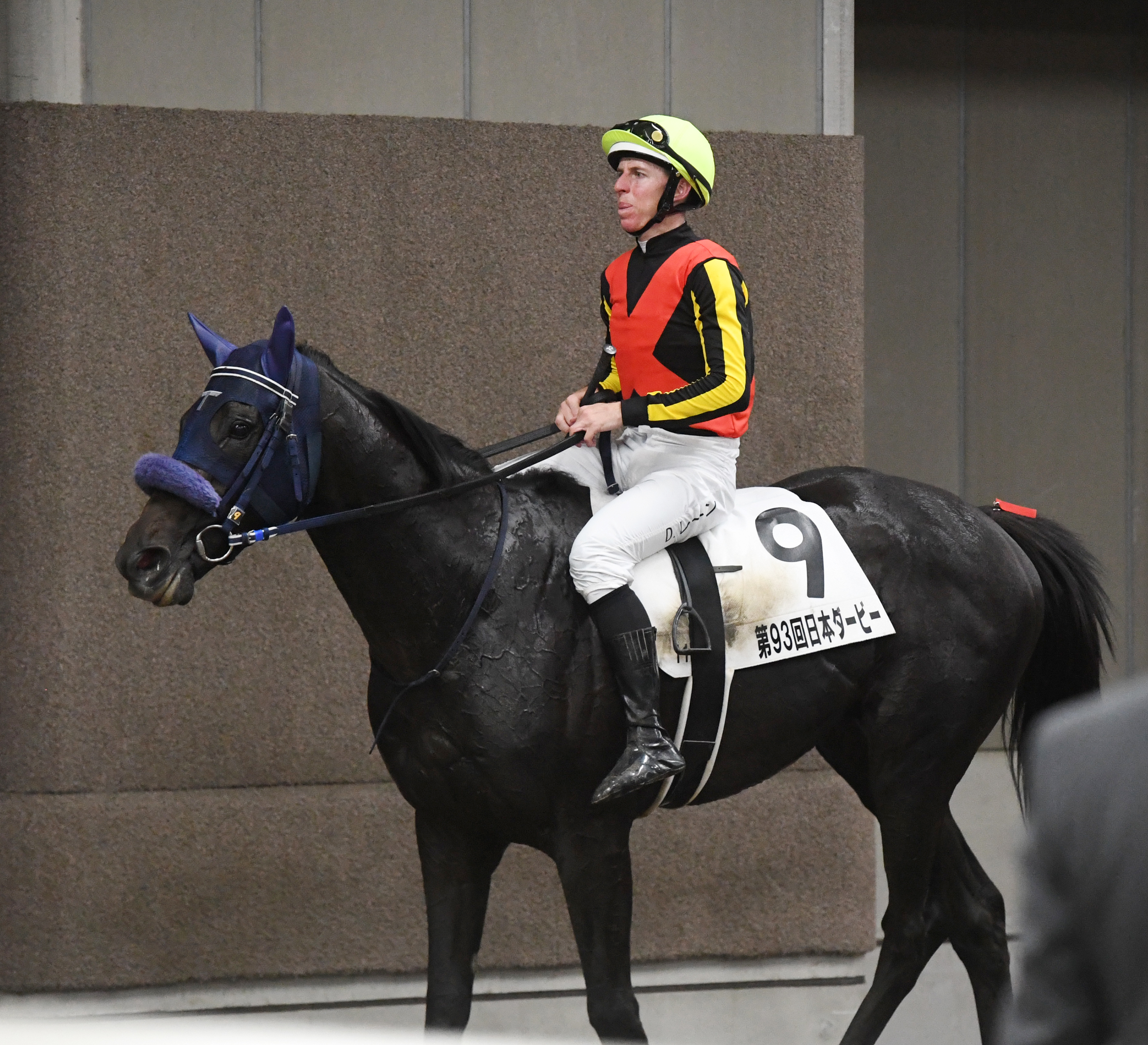 日本ダービー】レースを終えて…関係者談話 - サンスポZBAT!