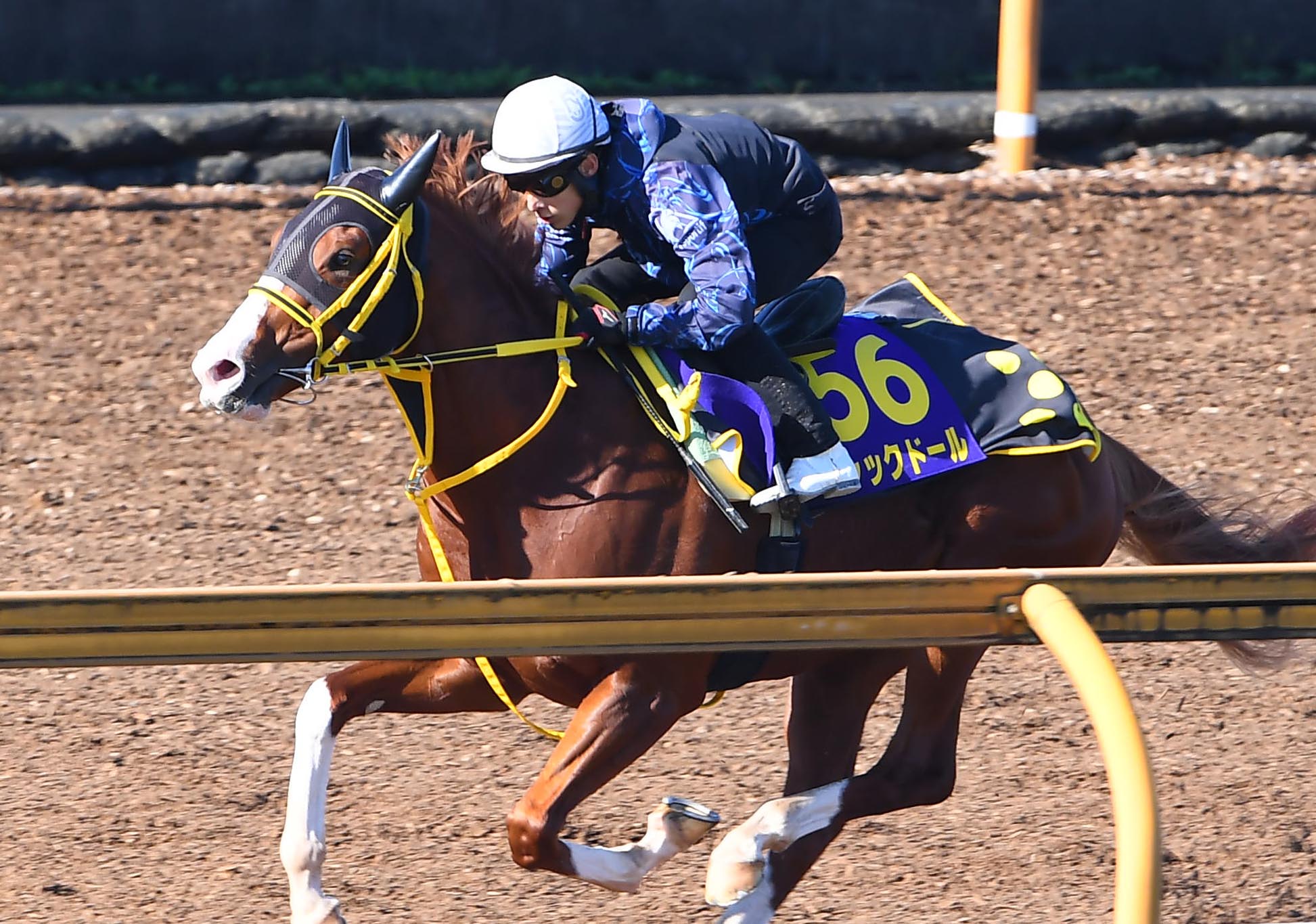 天皇賞 秋 ｂｌｏｏｄ モーリス産駒ジャックドールが府中２０００で疾走 サンスポzbat