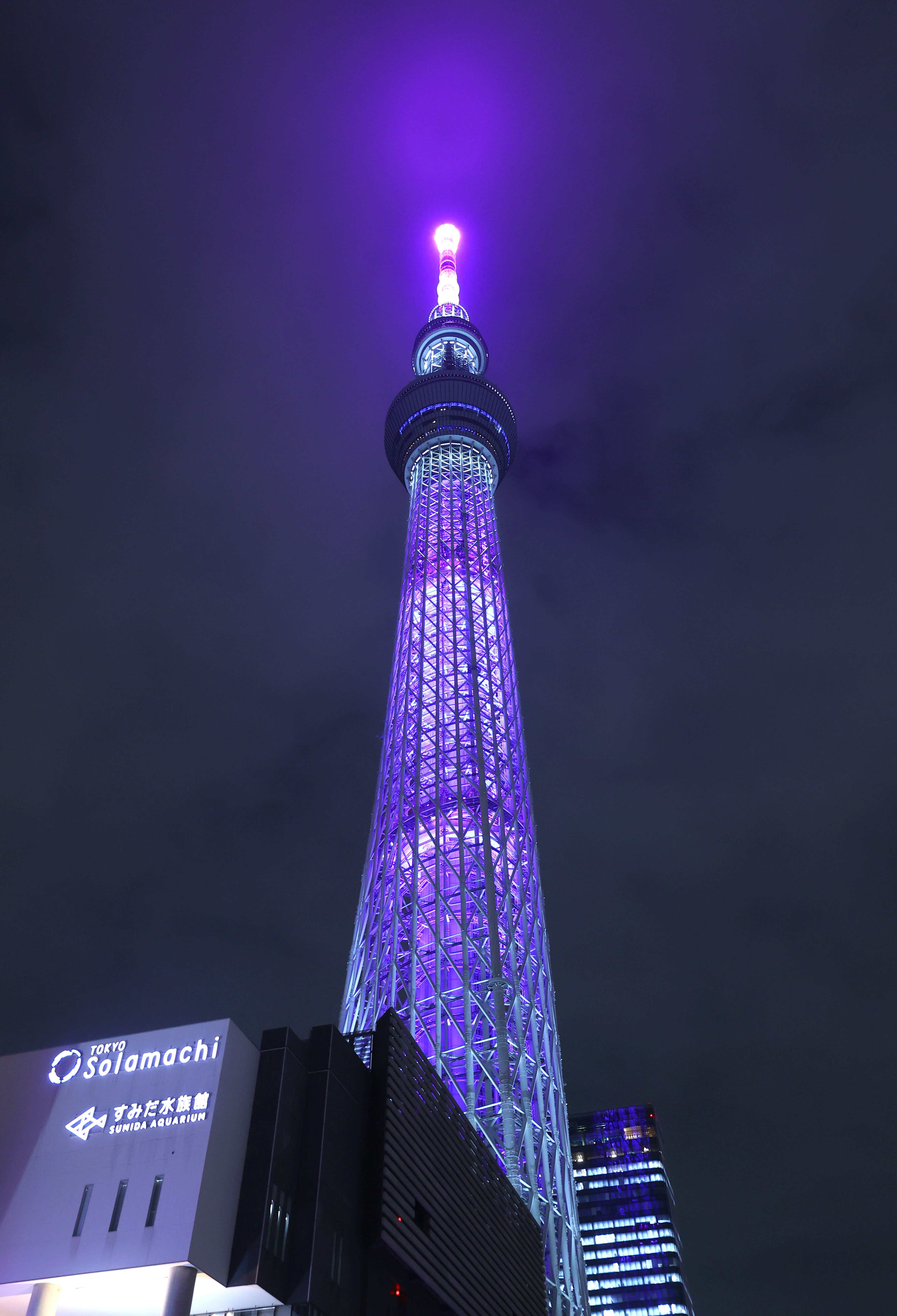 女性に対する暴力をなくそう 「パープルリボン」ライトアップ、東京