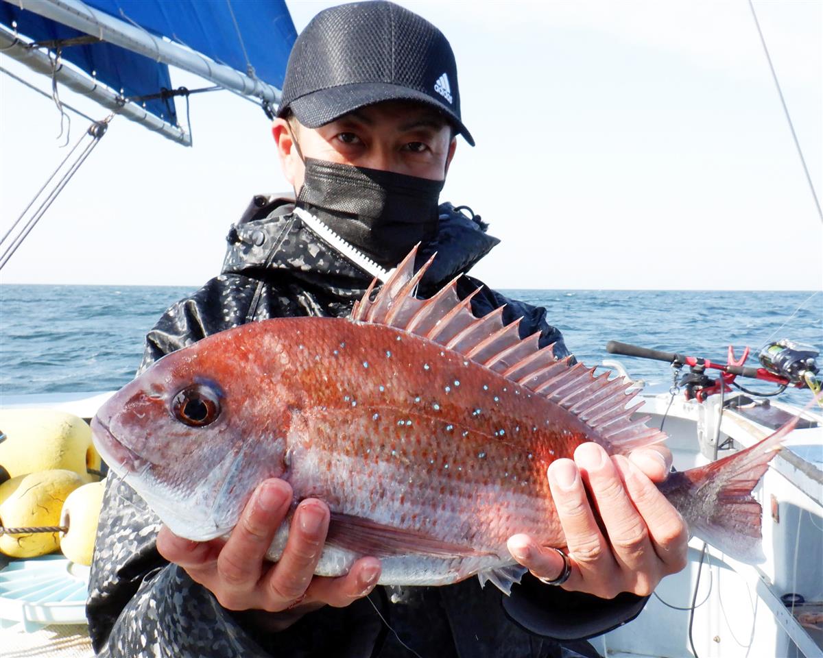 乗っ込みマダイ本格化 ２桁 ５キロ超えも狙える 東京湾 剣崎沖 1 2ページ サンスポ