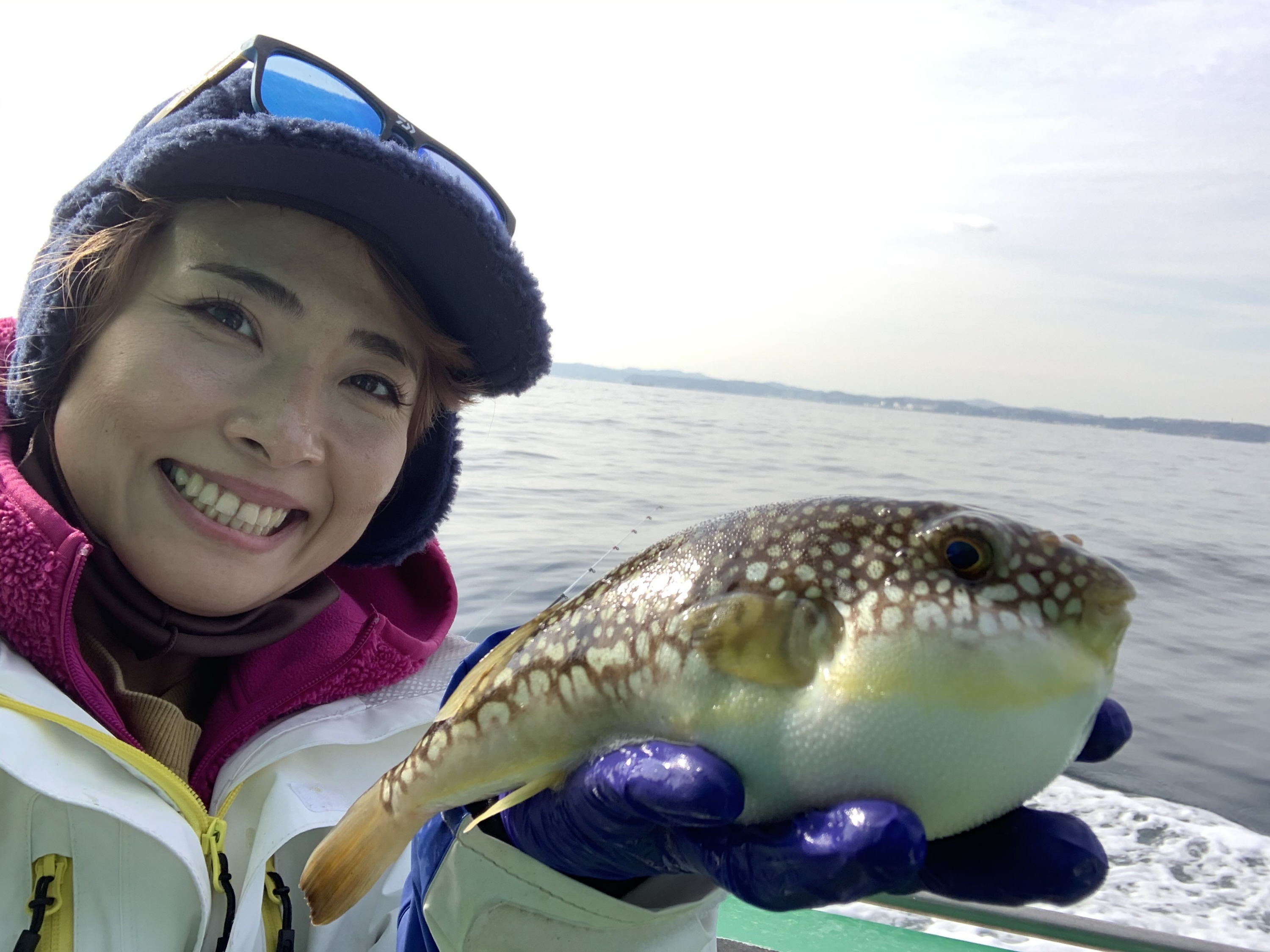 女子のミカタ 優しくソフトに繊細な釣り 湾フグで ３０尾超の日も 東京湾 大貫沖 サンスポ