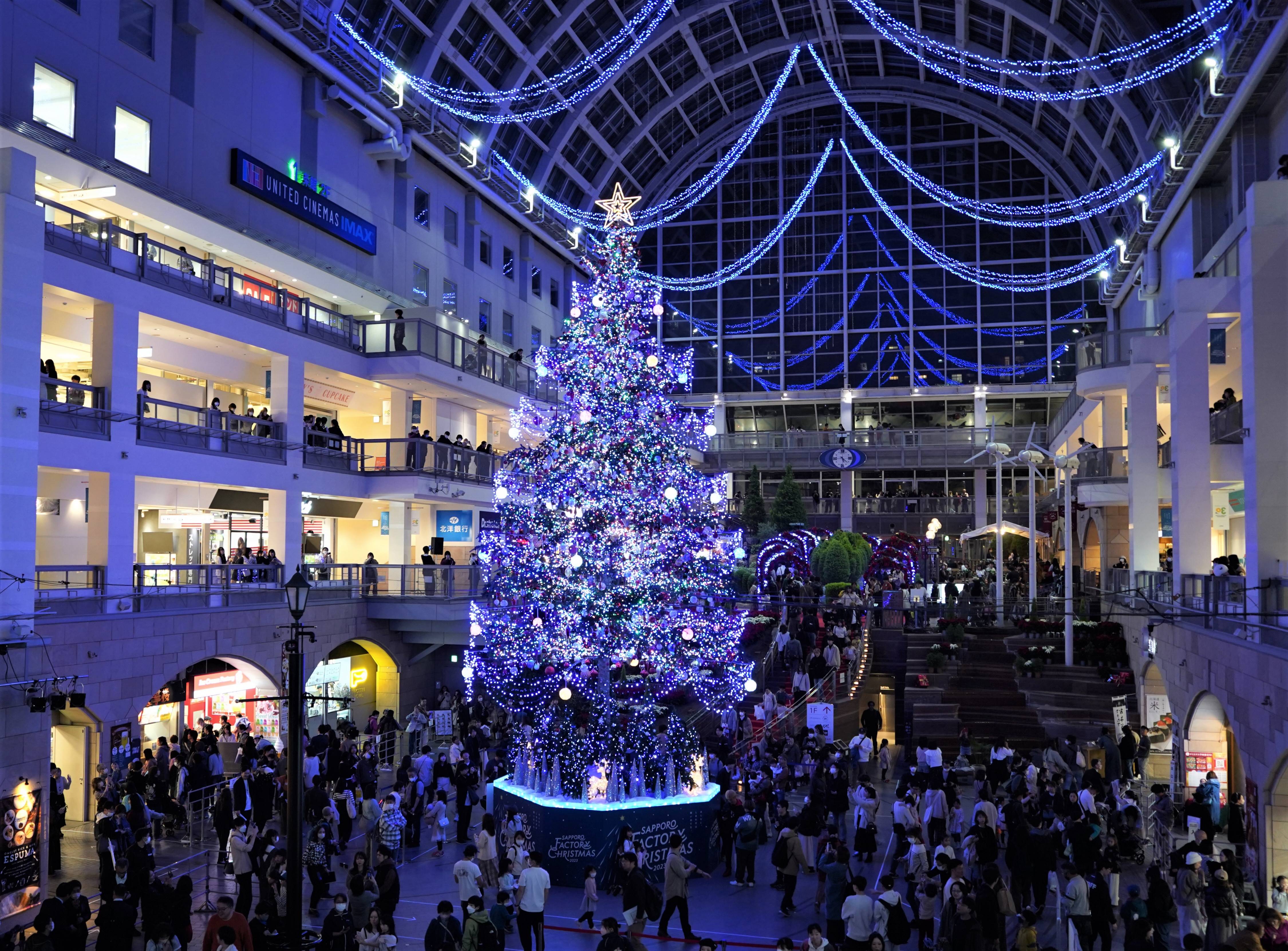 札幌で大型クリスマスツリー点灯、LED5万球でムード演出 - 産経