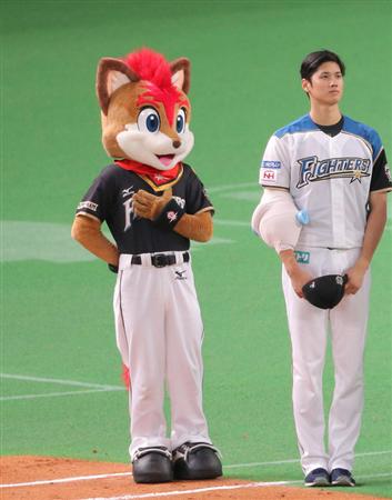 2017年大活躍したマスコットたちのフォト集／日本ハム - サンスポ