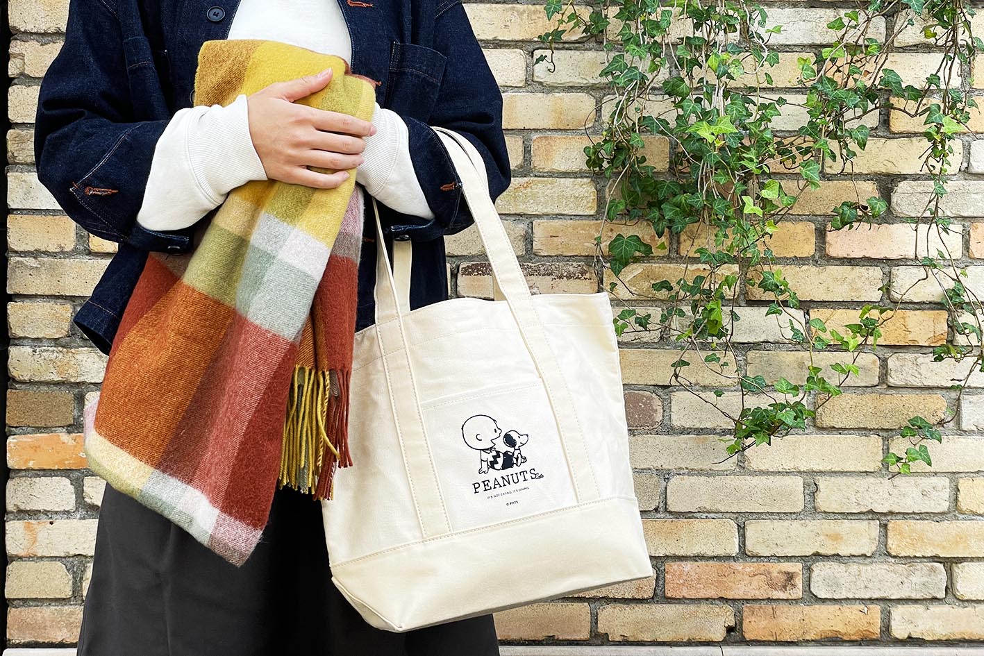 まだまだ買える2025福袋 ミスド、ドトールは12・26から コメダ