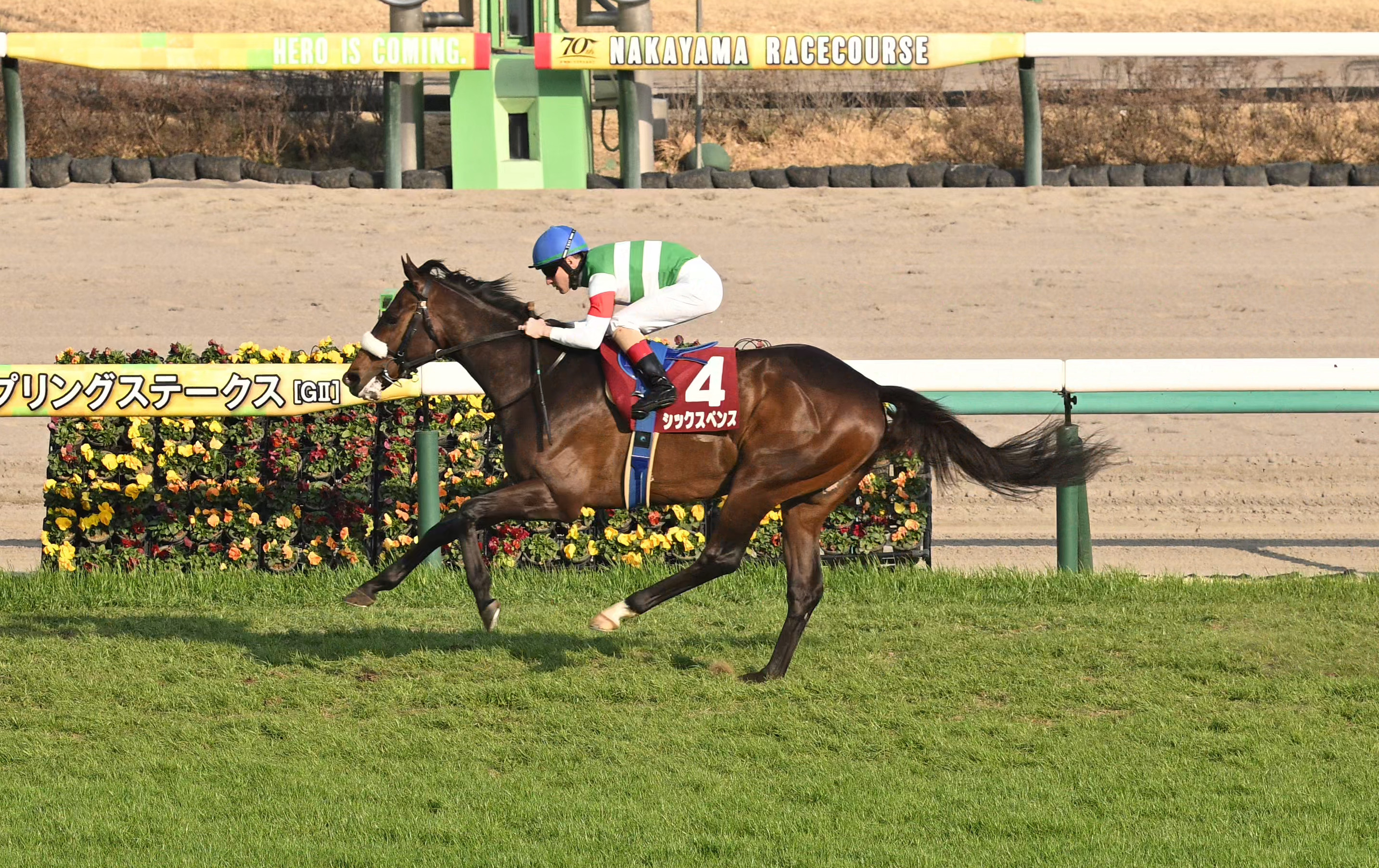 スプリングSに新時代到来 大改革の効果てきめん 井崎脩五郎の