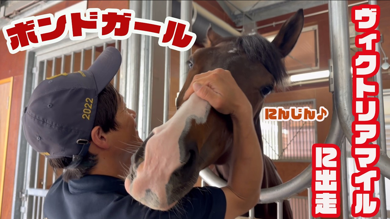 ヴィクトリアM出走】ボンドガールのニンジンタイムにお邪魔しました