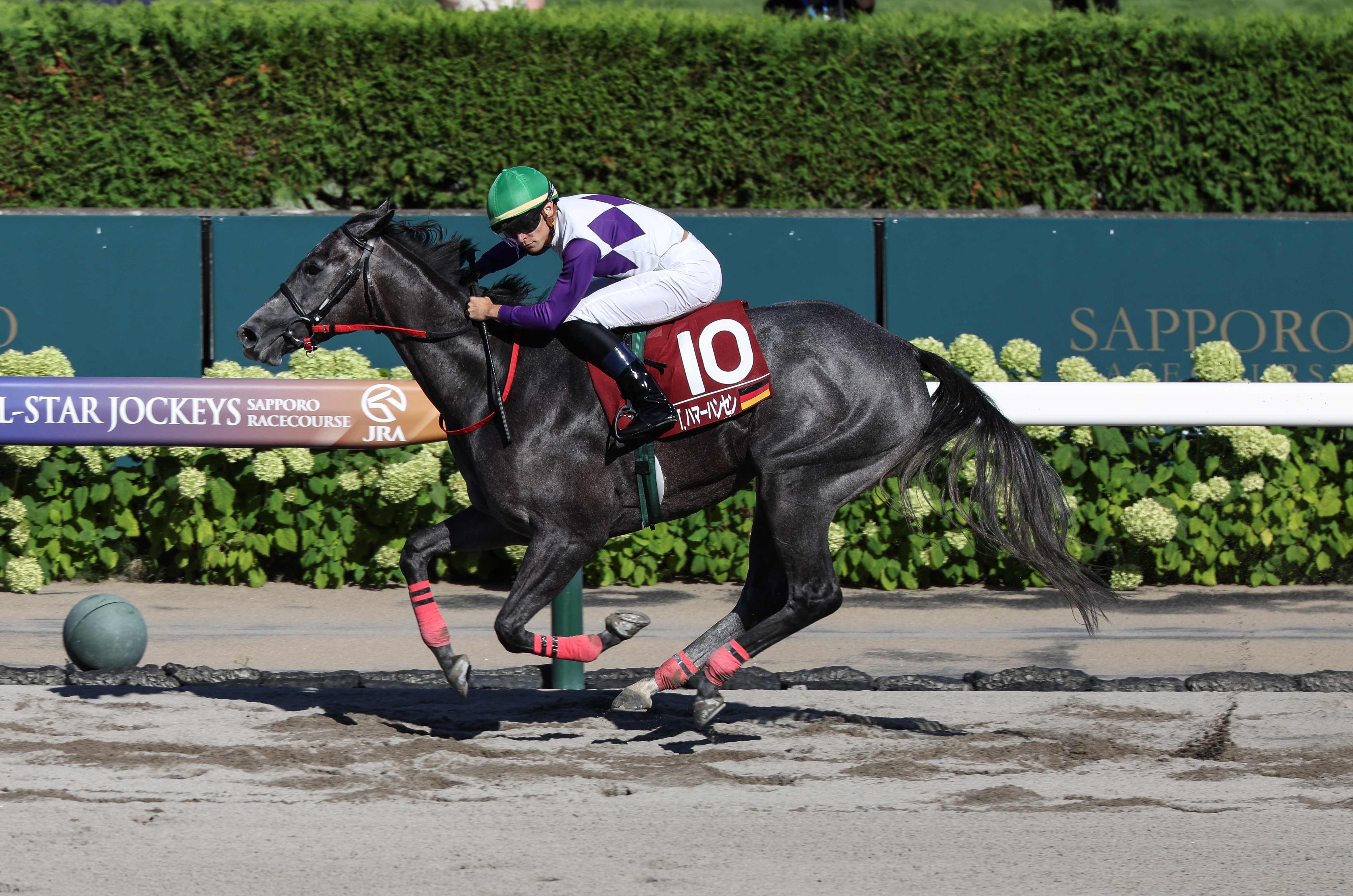 盗まれた馬 小倉記念】追って一言 - サンスポZBAT!