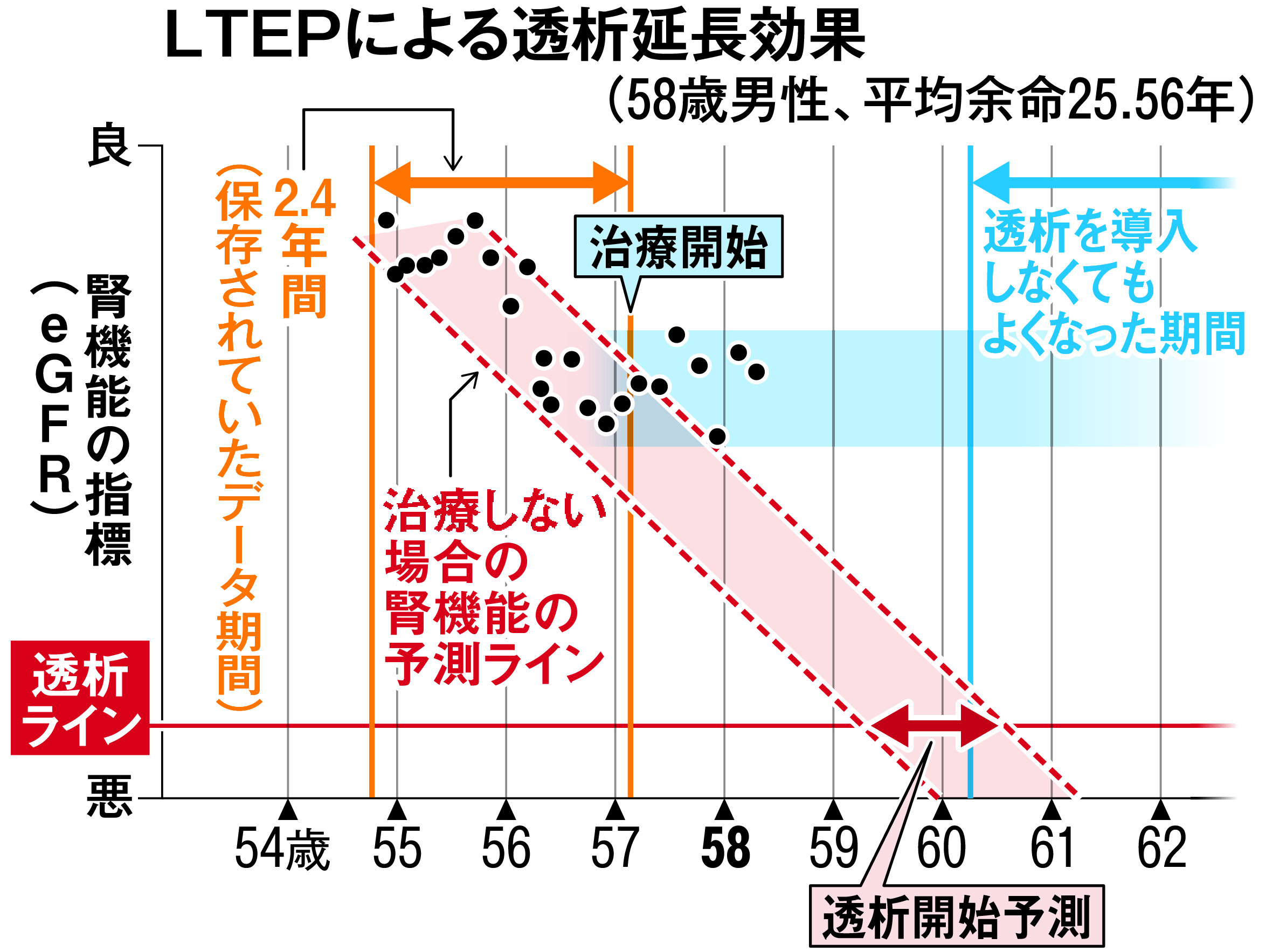 腎臓の「寿命」をグラフ化 早期治療で透析リスク回避 - 産経ニュース