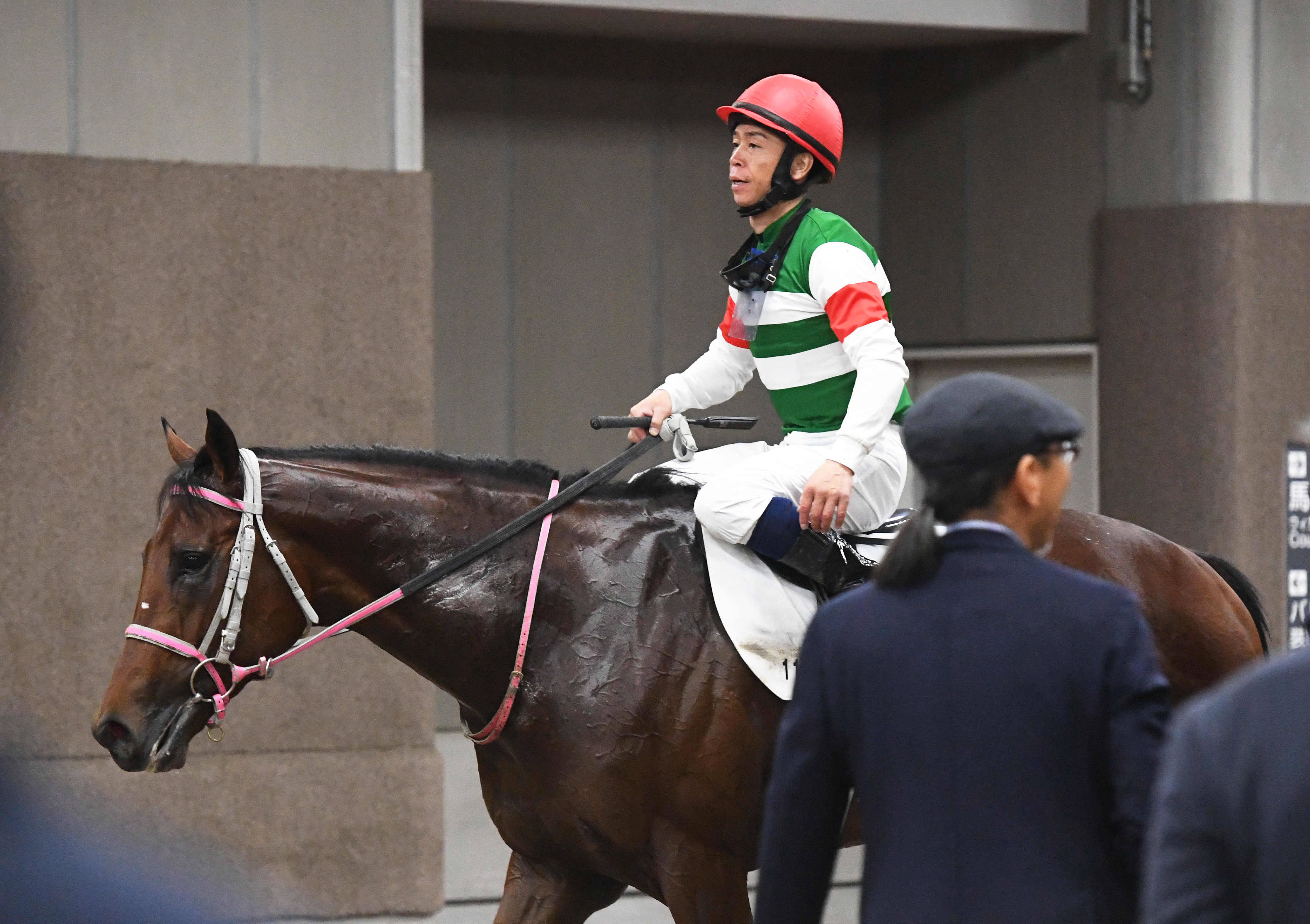 ゔ*す様 98年　日本ダービー　現地馬券18頭 2024日本ダービー東京優駿(G1)最終予想】 【勝負馬券】を完全