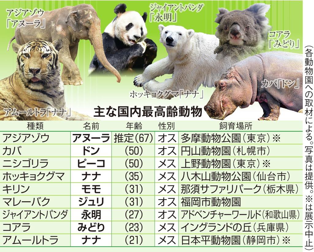 熊 の 寿命