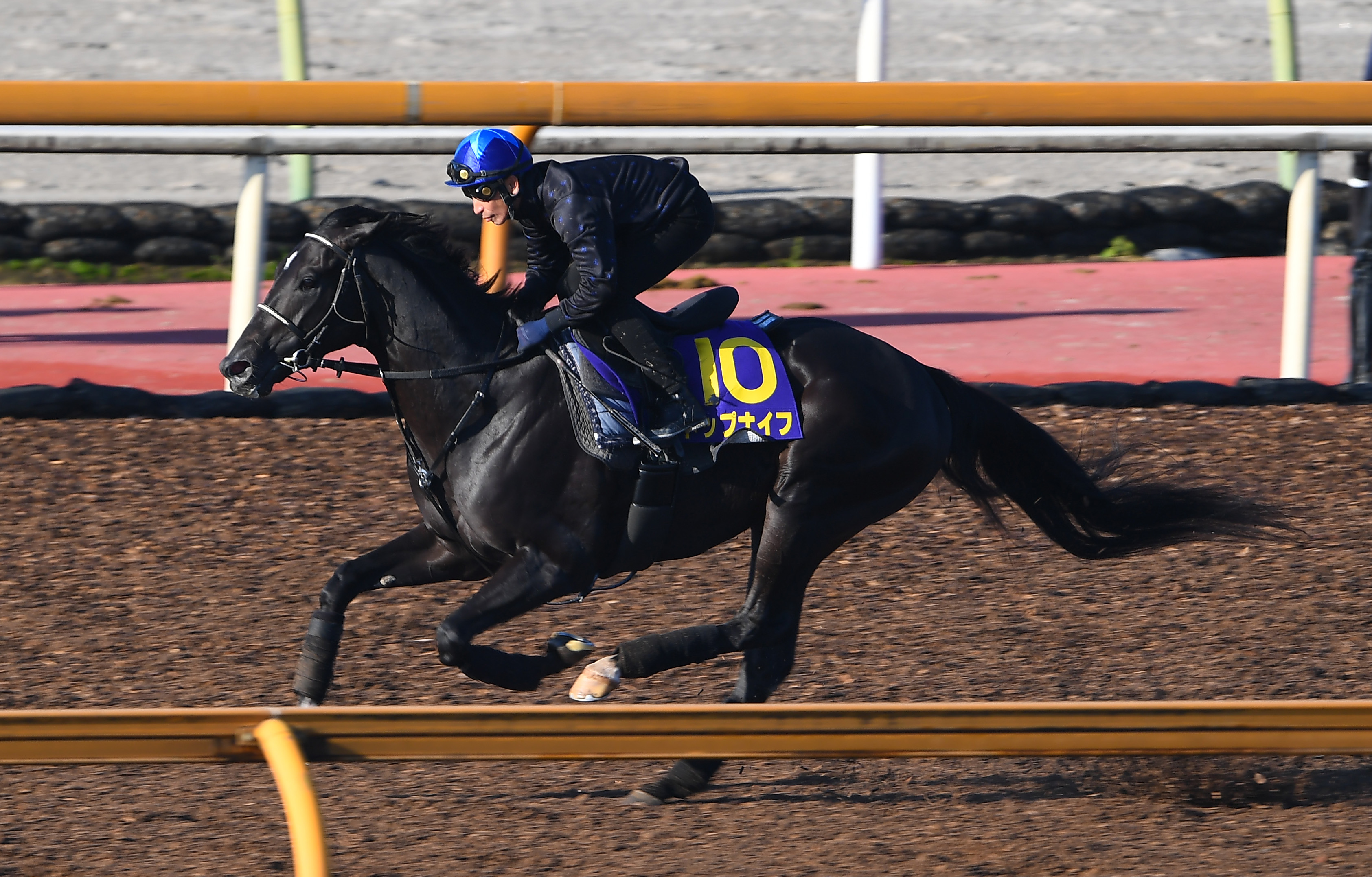 【菊花賞】トップナイフ４週連続で横山典騎手が騎乗し好時計 昆師 ...