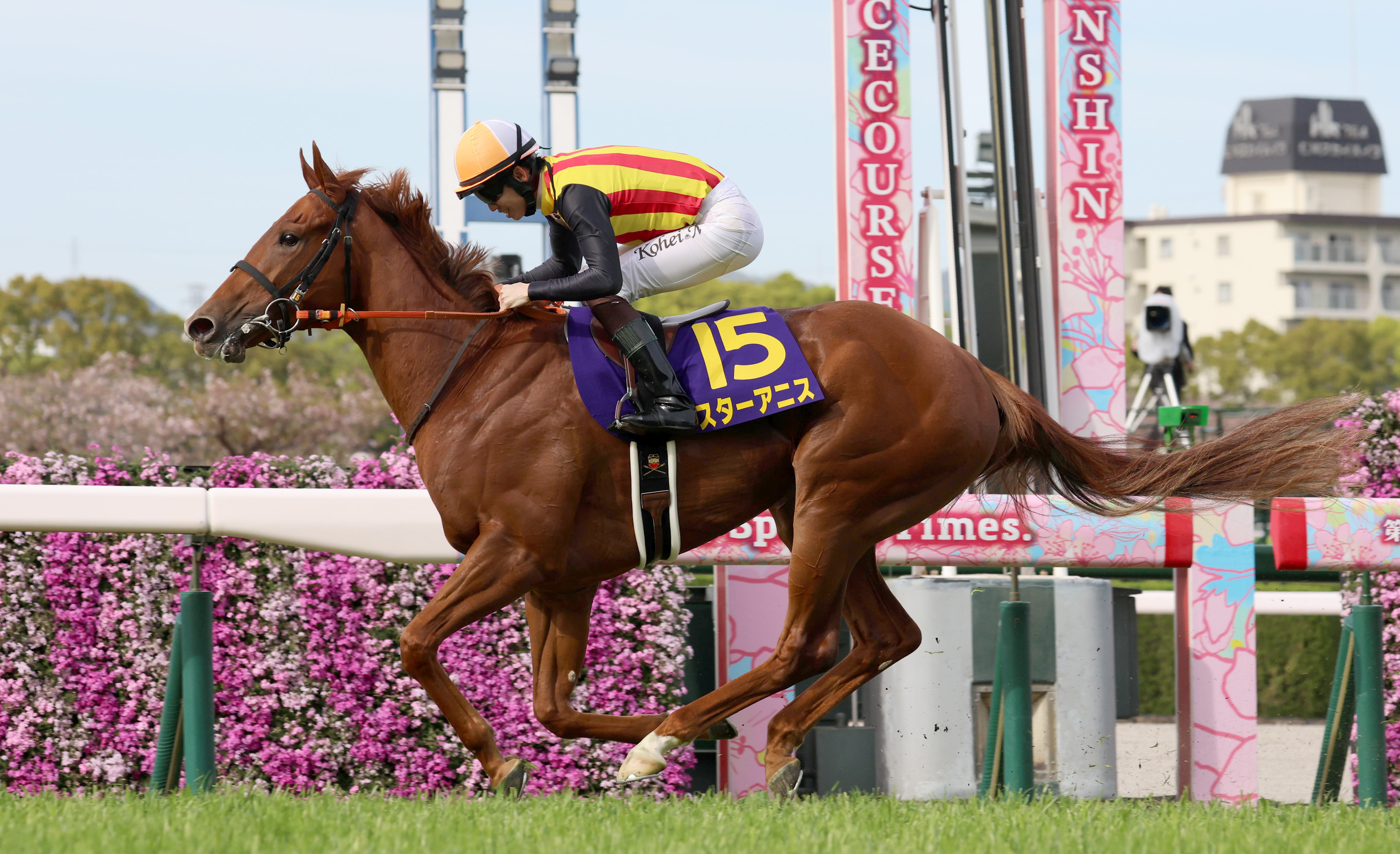 競馬GⅠ桜花賞、スターアニスが優勝 - 産経ニュース