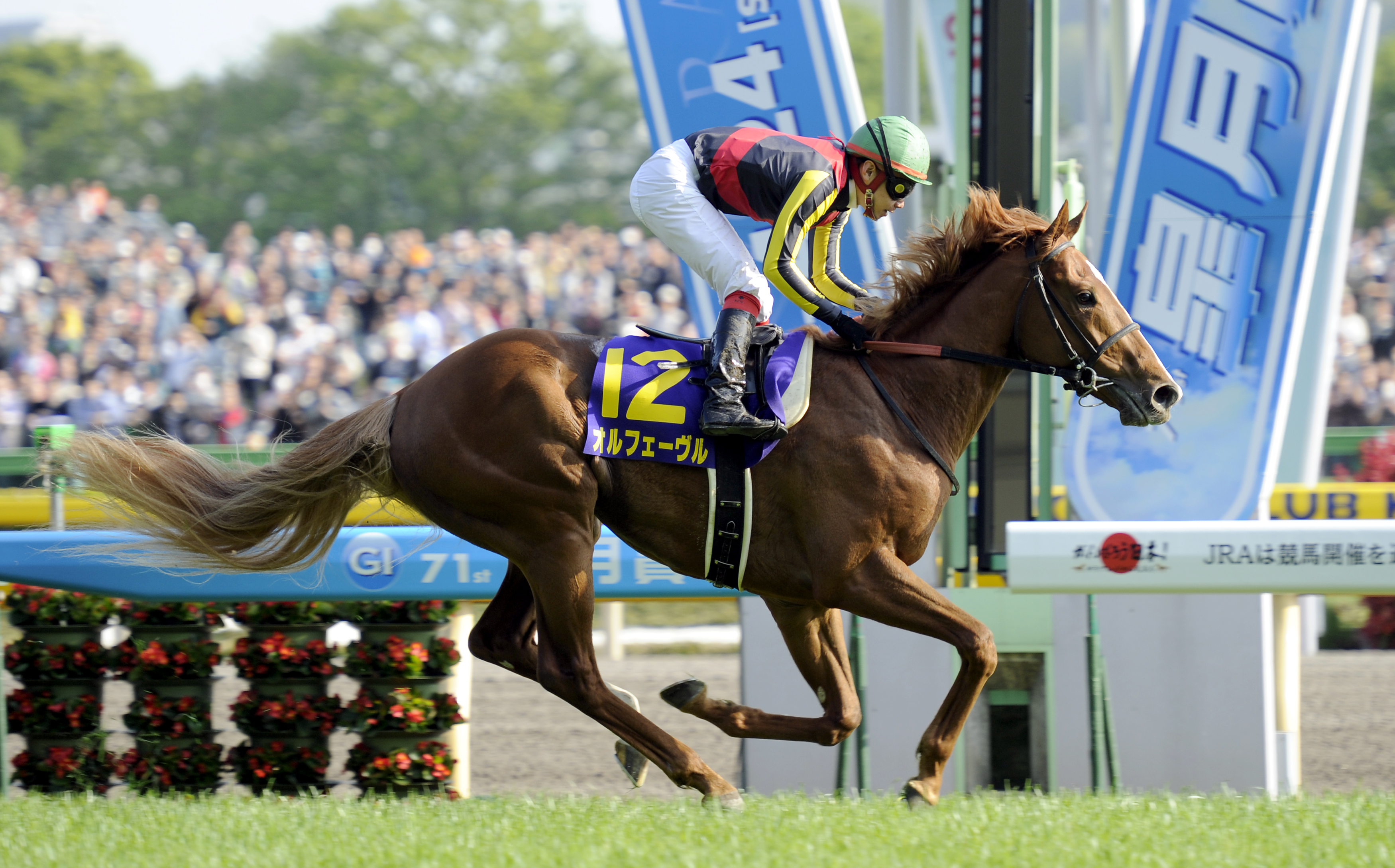 井崎脩五郎のおもしろ競馬学】三冠馬と天気の関係 - 産経ニュース