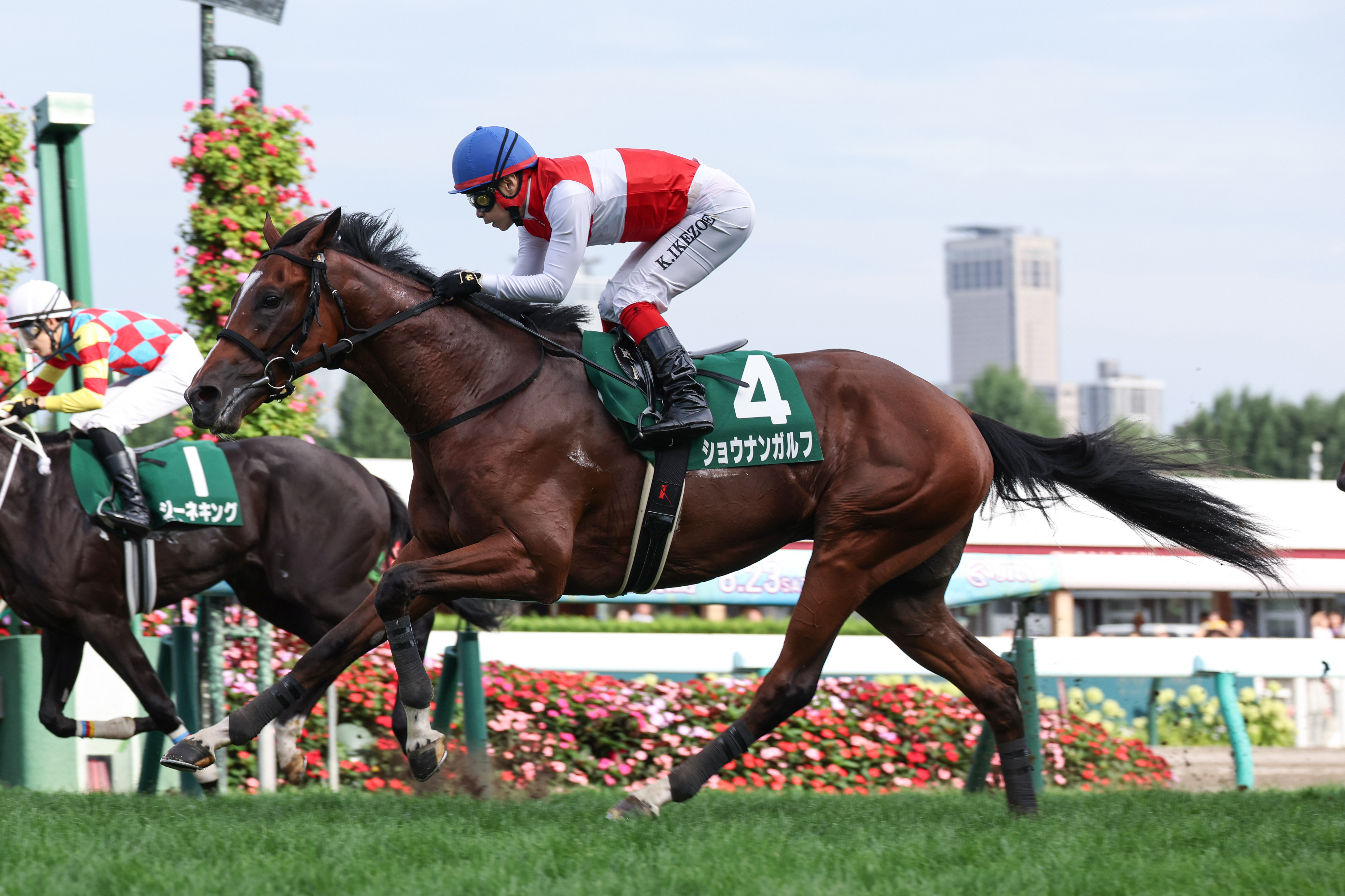 札幌2歳S】ショウナンガルフがゴール寸前で差し切り無傷2連勝！池添