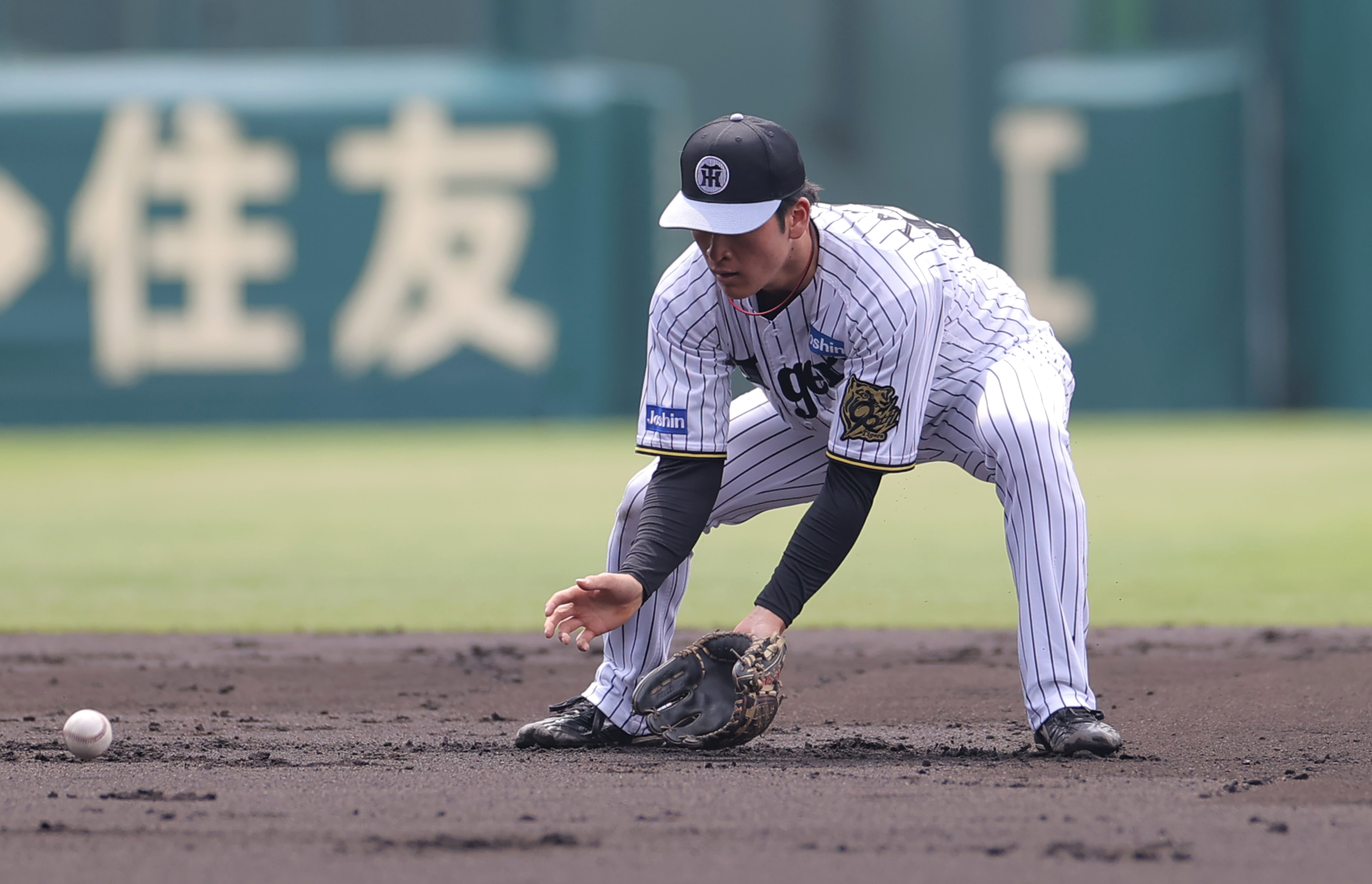 【未使用】阪神タイガース　高寺望夢選手　前ホーム　ユニフォーム　Mサイズ　#67 未使用】阪神タイガース 高寺望夢選手 前ホーム ユニフォーム Mサイズ