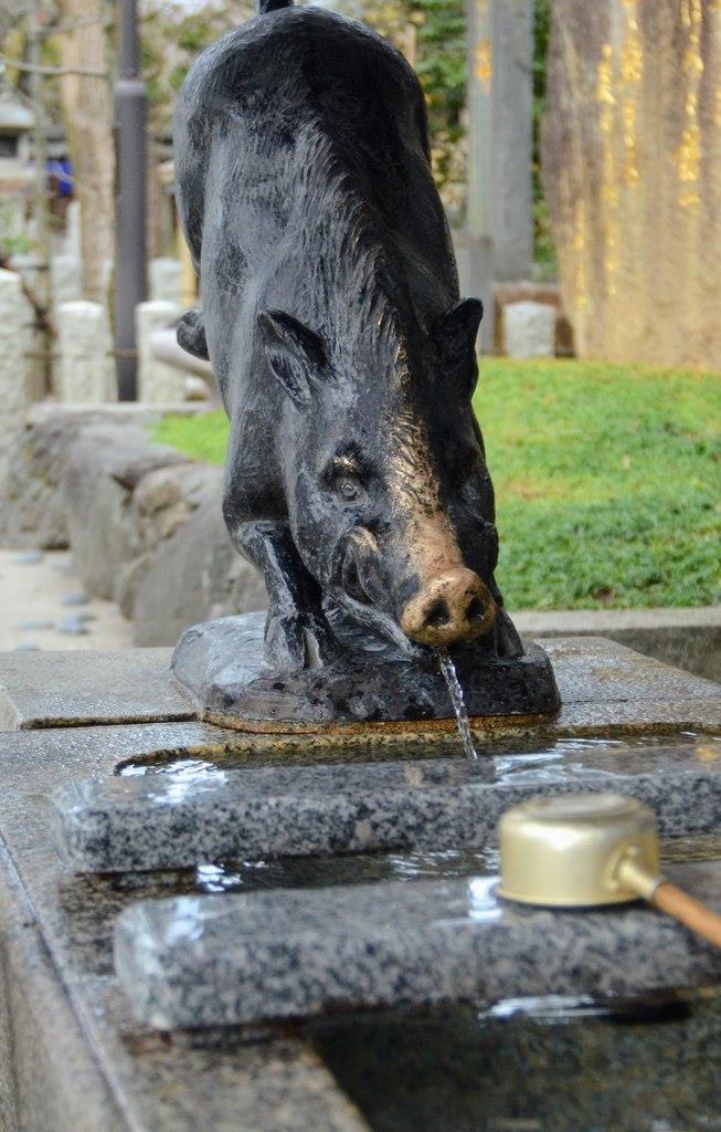 境内のあちこちにイノシシ 京都・護王神社 - 産経ニュース