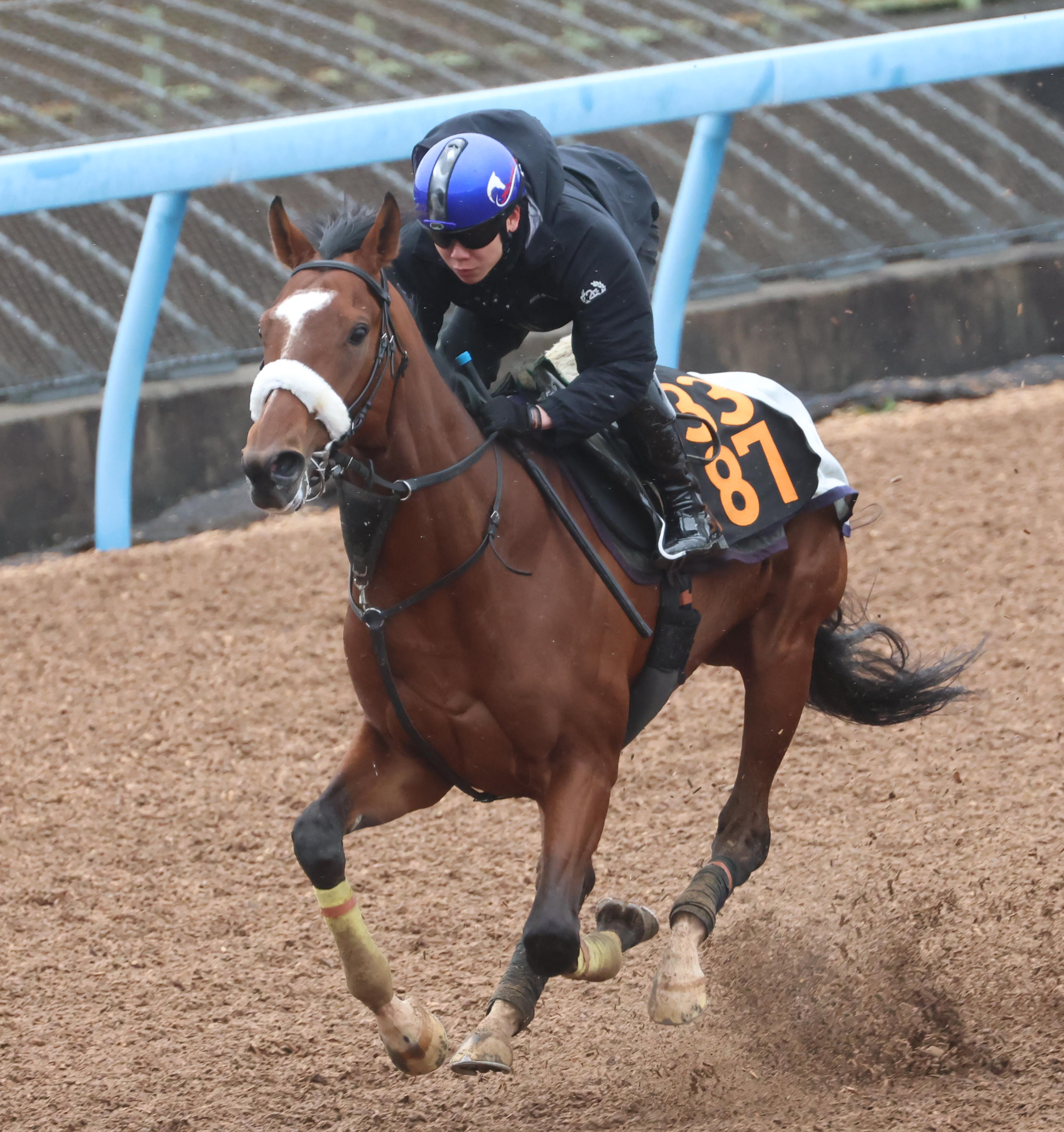 弥生賞＆フィリーズレビュー＆中山牝馬S 東西調教スタンドから】上積み