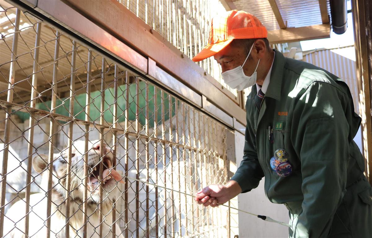 コロナ禍で経営難 東武動物公園へ鶏肉寄付 山形の食肉会社 広がる 善意のリレー 産経ニュース