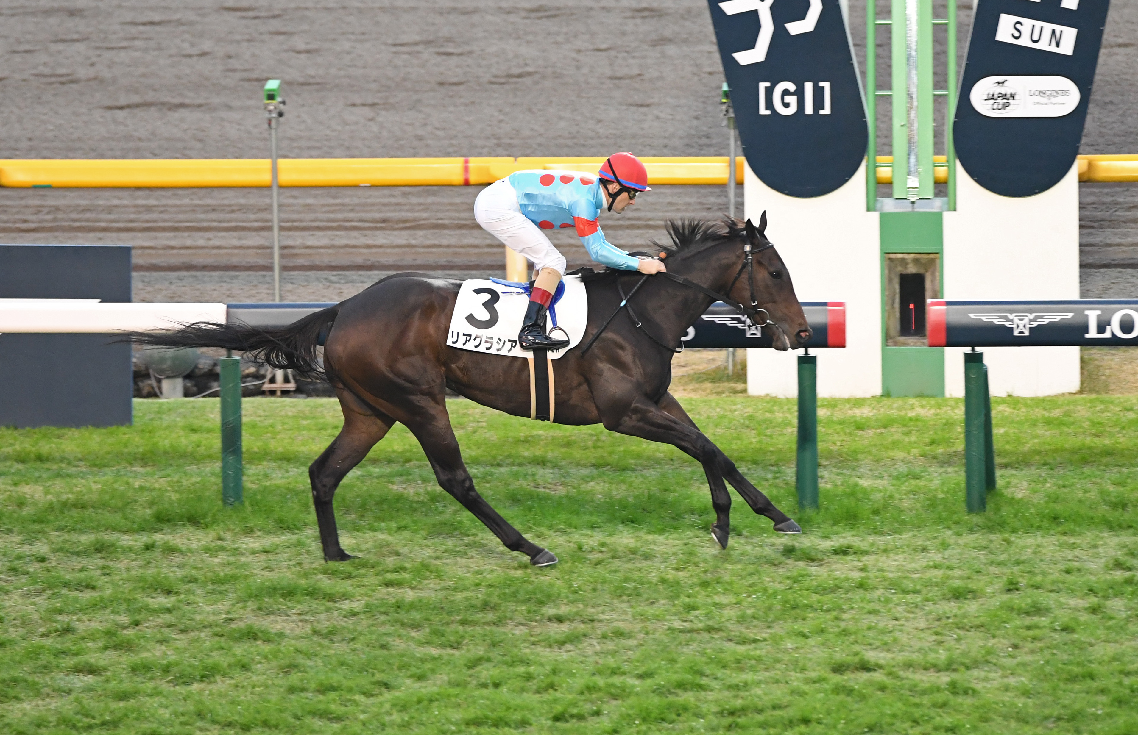 【土曜新潟の厳選予想】素質馬リアグラシアの巻き返しに期待 ...