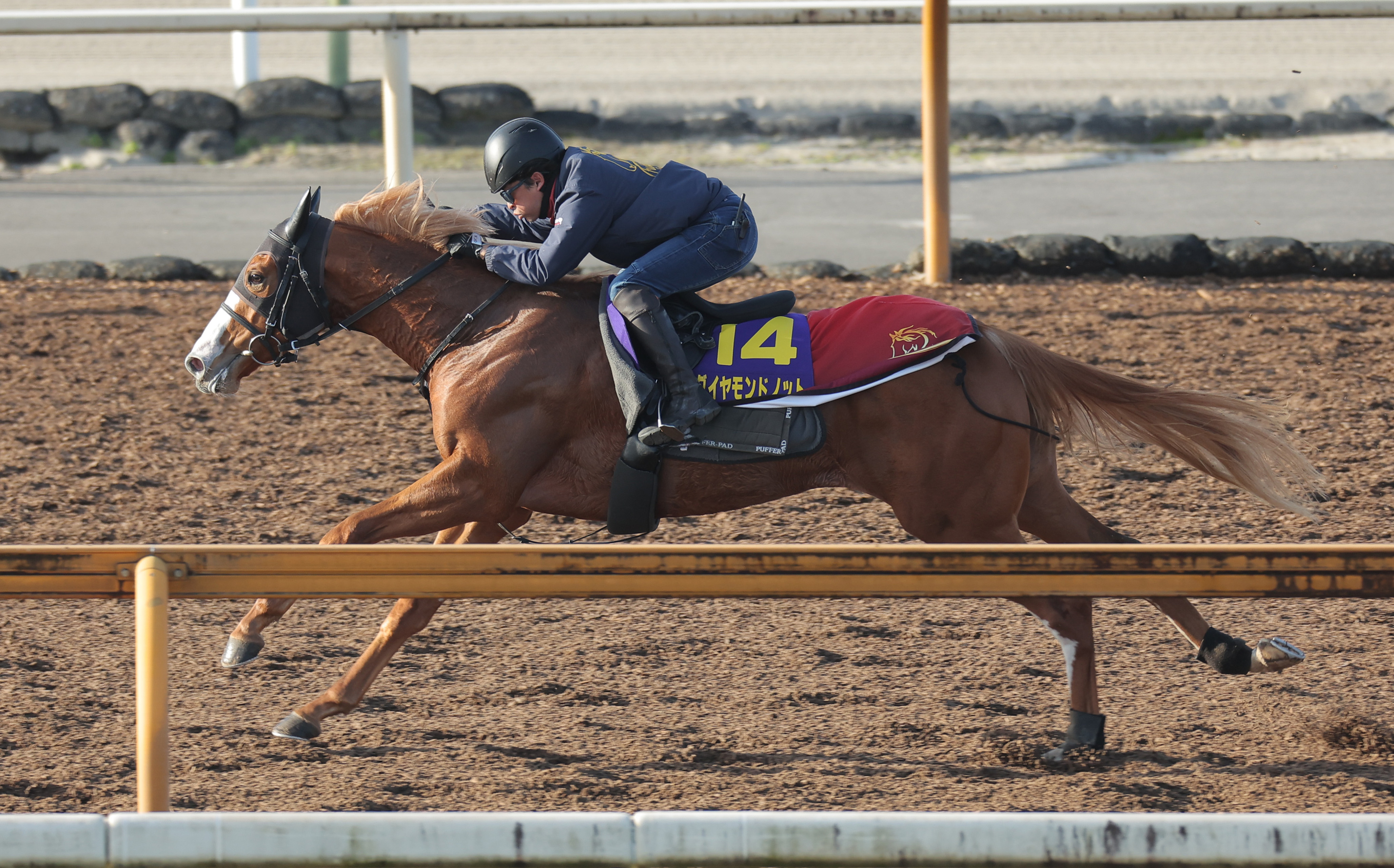 朝日杯FS 1週前追い切り】ダイヤモンドノットは福永師を背に2馬身先着 