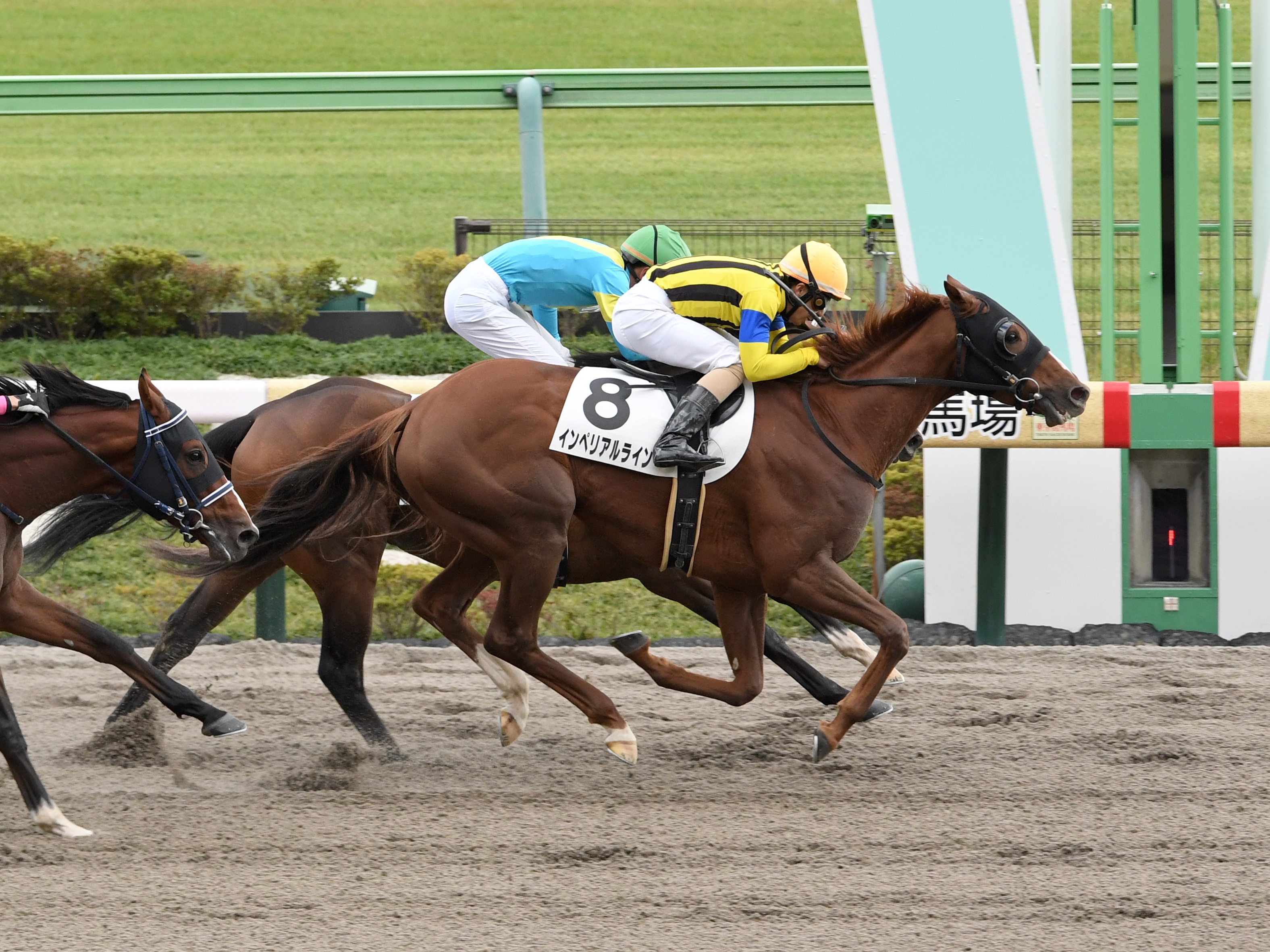 ヒロシのDeepな話】東京ダートは雨が降ってこそ差し・追い込みが利く