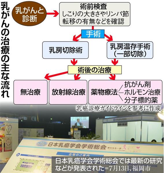 消えるがん 消えないがん 下 夫や子供の前で泣けなかった 乳がん患者の孤独な闘いに光が差す日 1 3ページ 産経ニュース