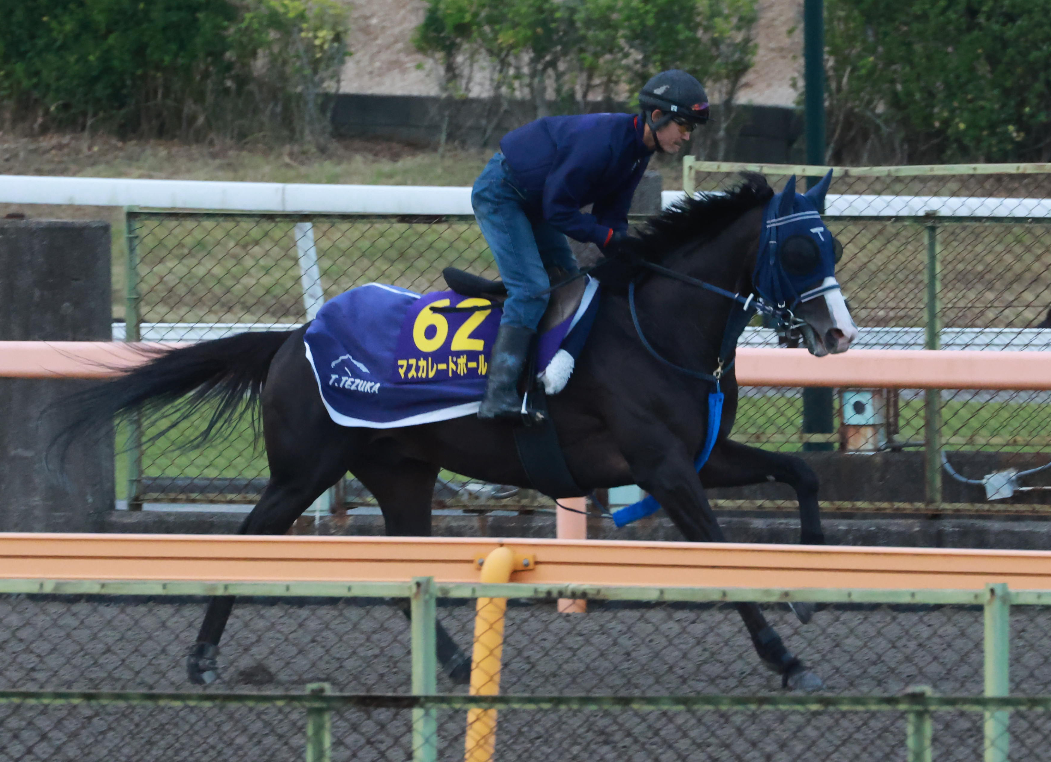 シンザン　昭和40年天皇賞 競馬パネル 日刊スポーツ シンザン 昭和40年天皇賞 競馬パネル 日刊スポーツ シンザン 昭和40年