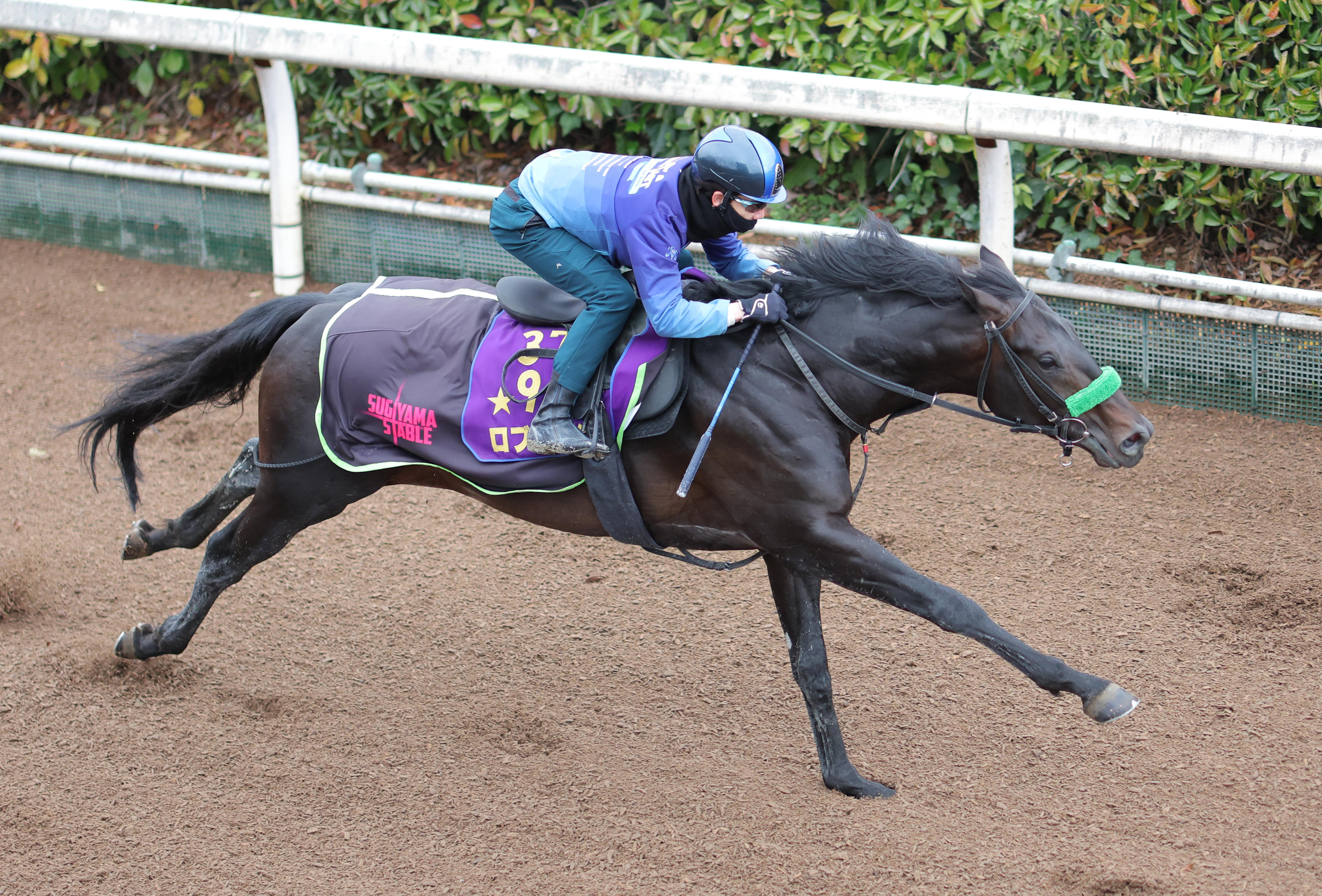 皐月賞 2週前追い切り】ロブチェンは馬なりで力強く登坂 杉山晴調教師 