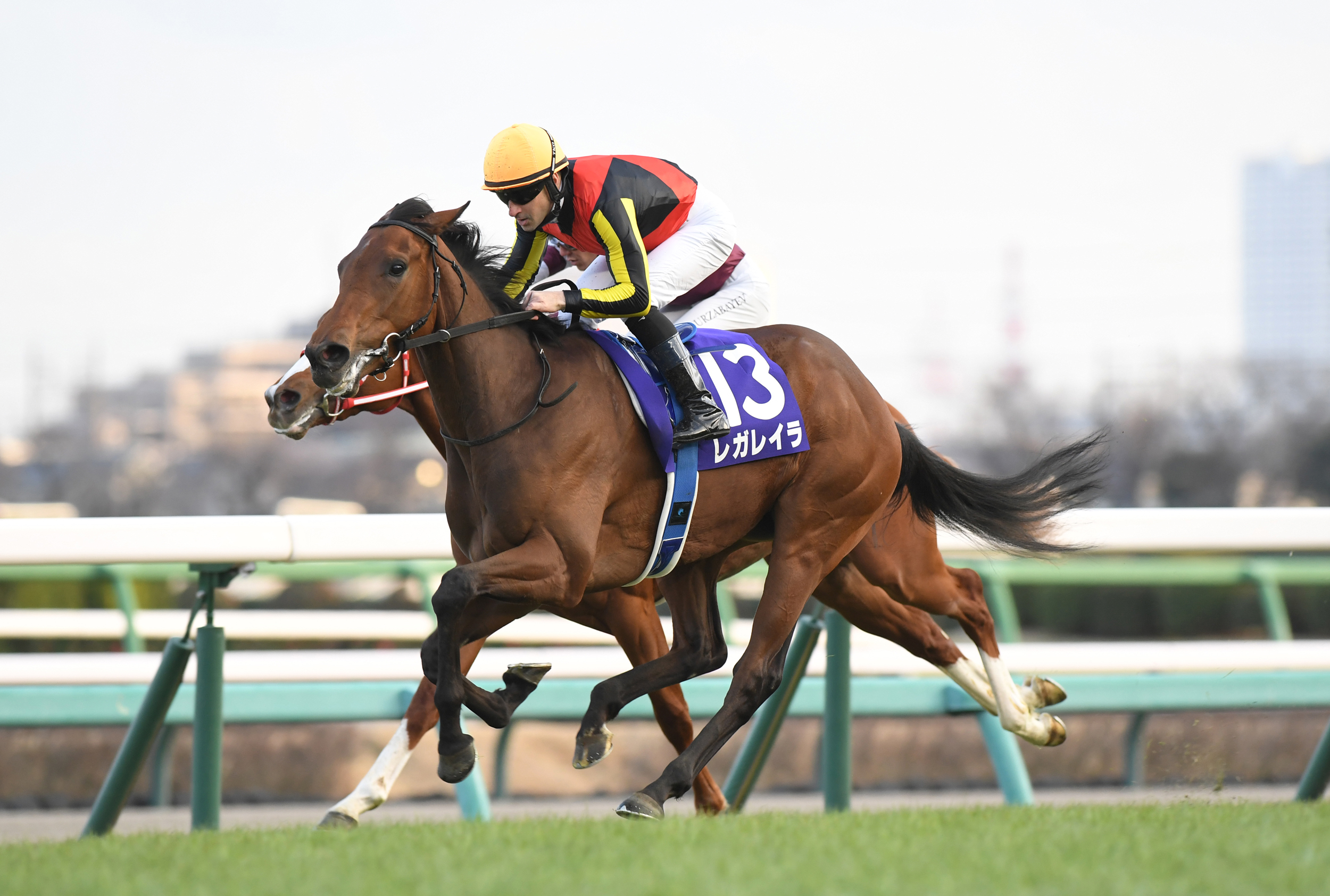 1強」ジャスティンミラノ、史上6頭目の無敗2冠へ 26日に第