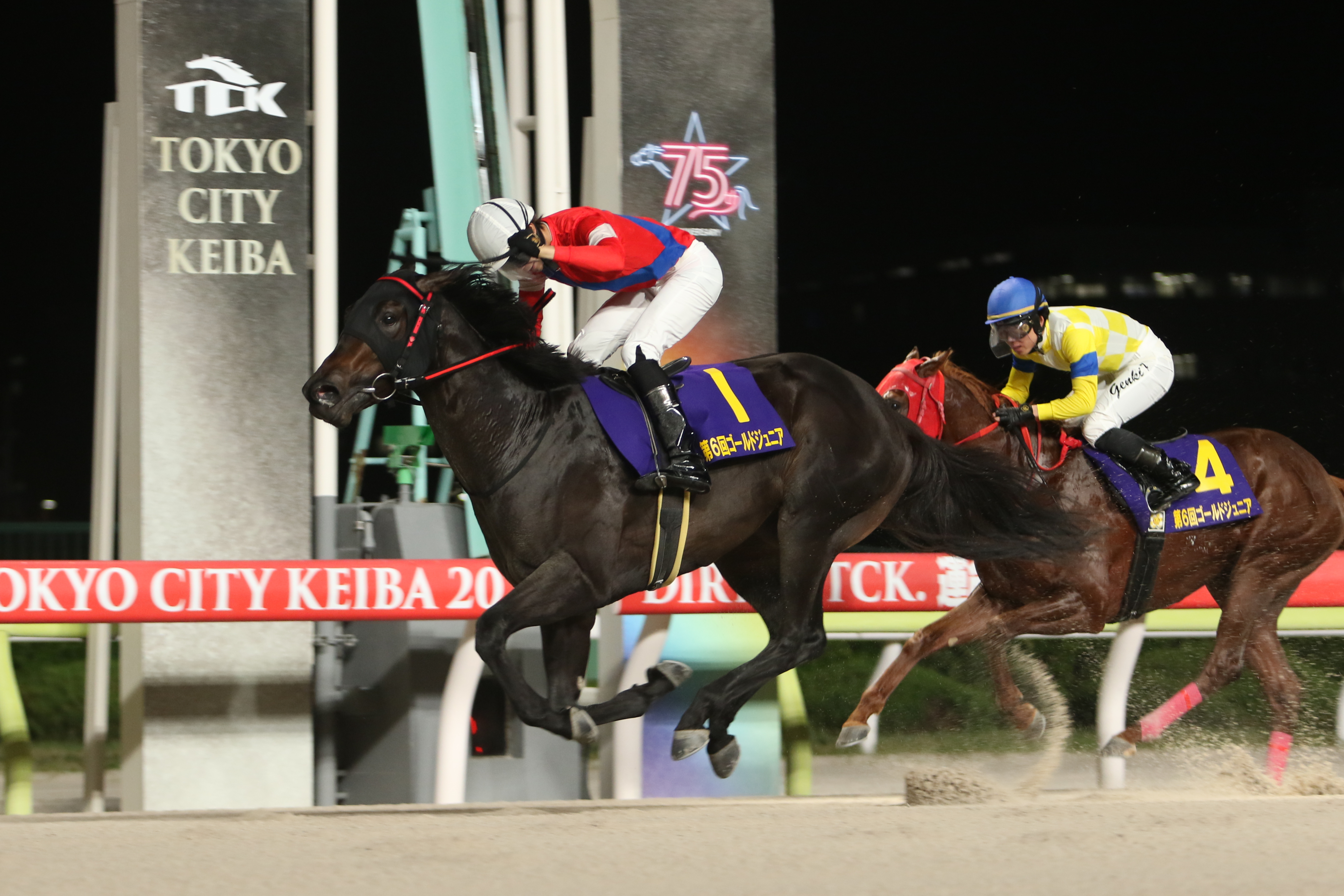 八朔合馬 ゴールドジュニア】ゴーバディが断然人気に応え快勝 吉井章騎手