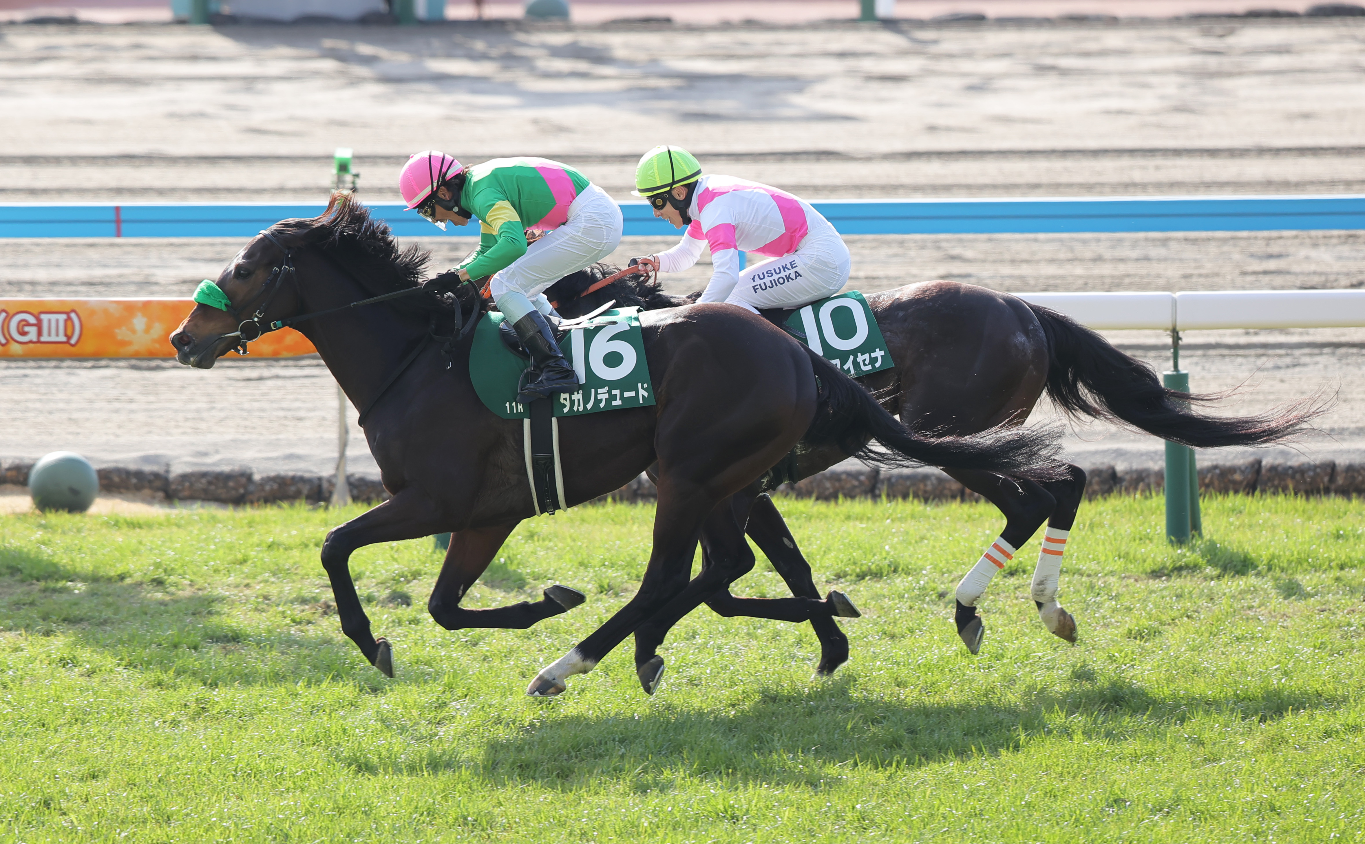 小倉大賞典】タガノデュード末脚一閃！後方から猛烈に追い込み重賞初
