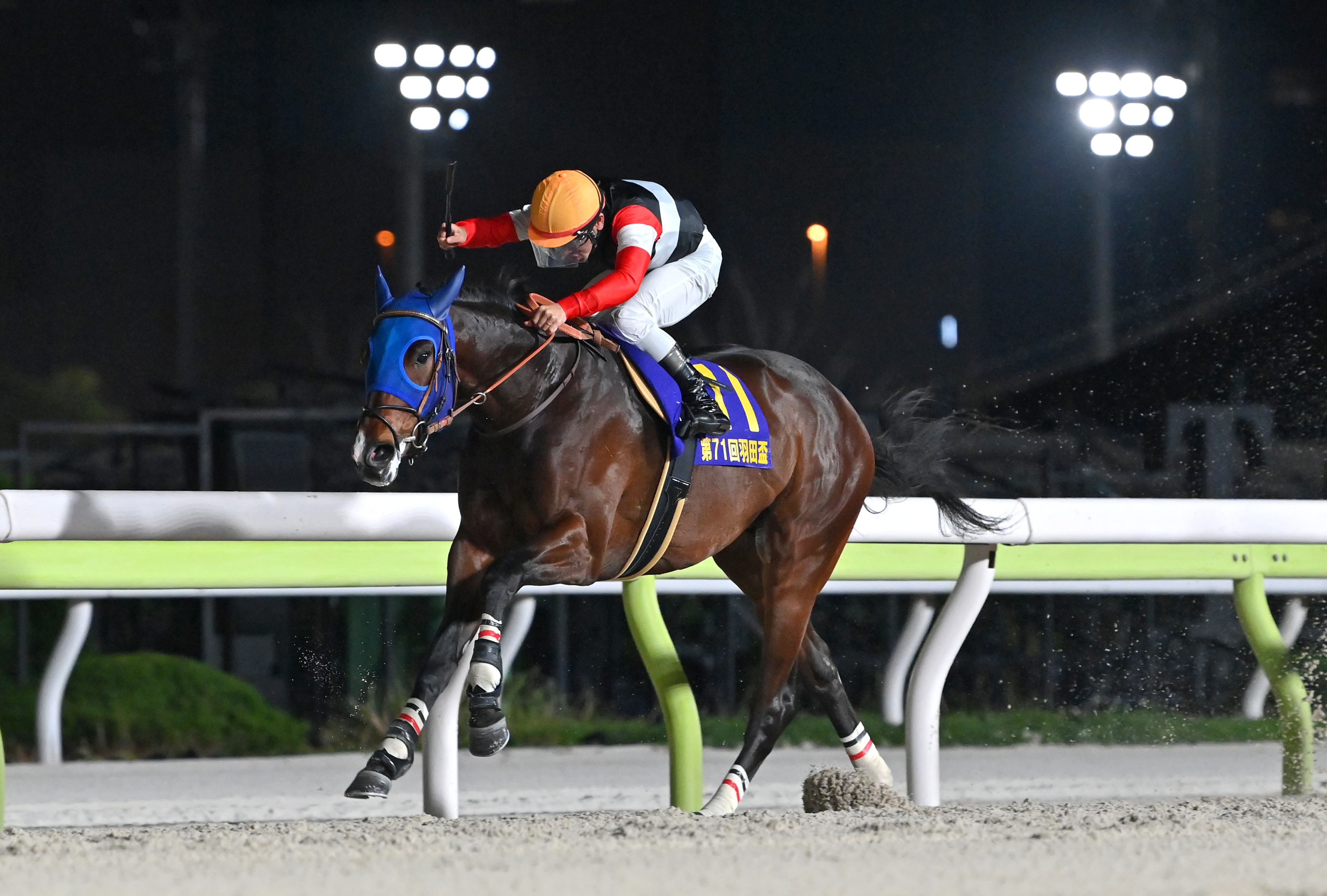 東京ダービー】中央＆地方〝二刀流〟の競馬エイト・ゆきあきTM 〝体力