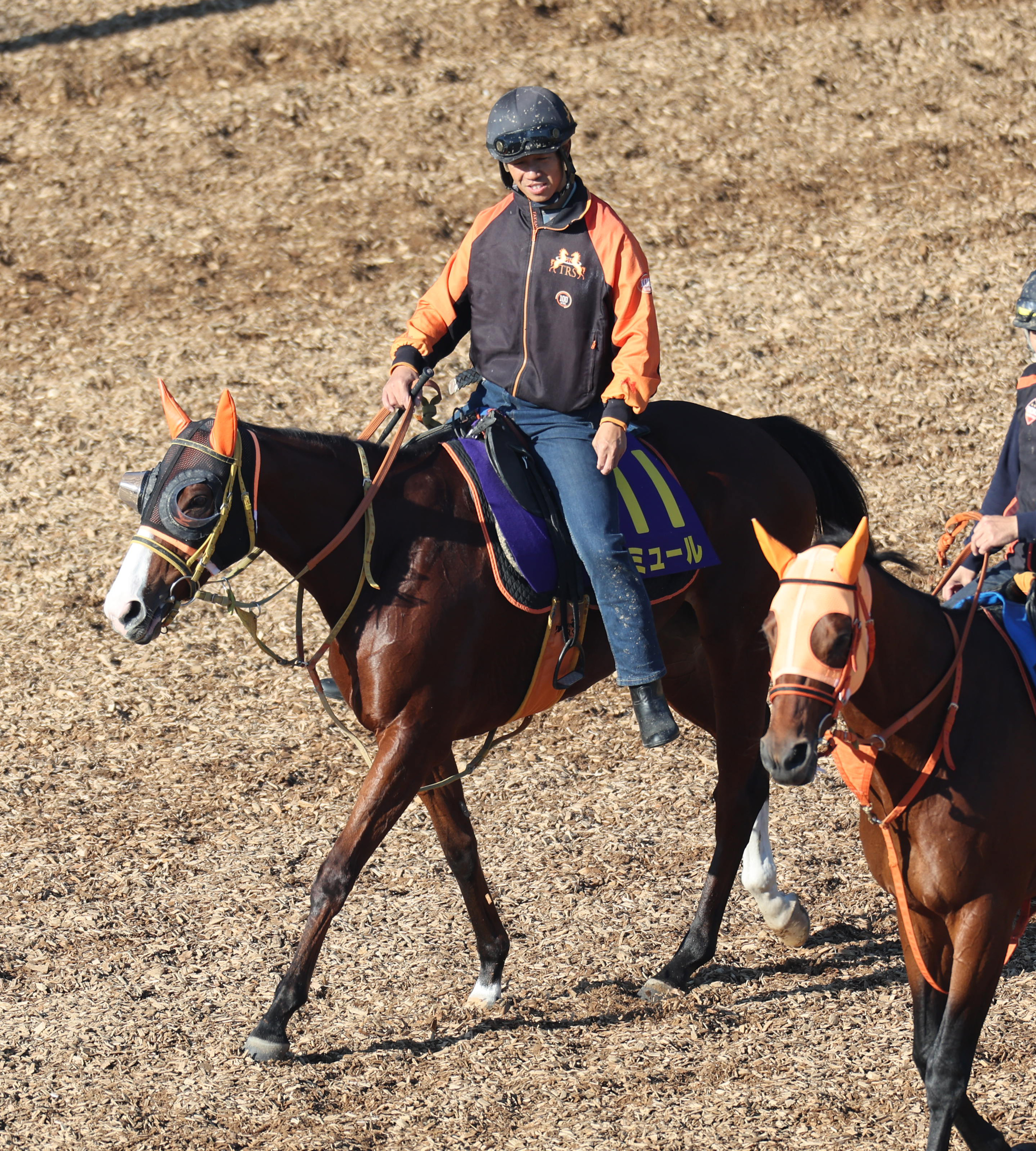マイルCS】調教後の馬体重 ナミュール22キロ増、ブレイディヴェーグ2