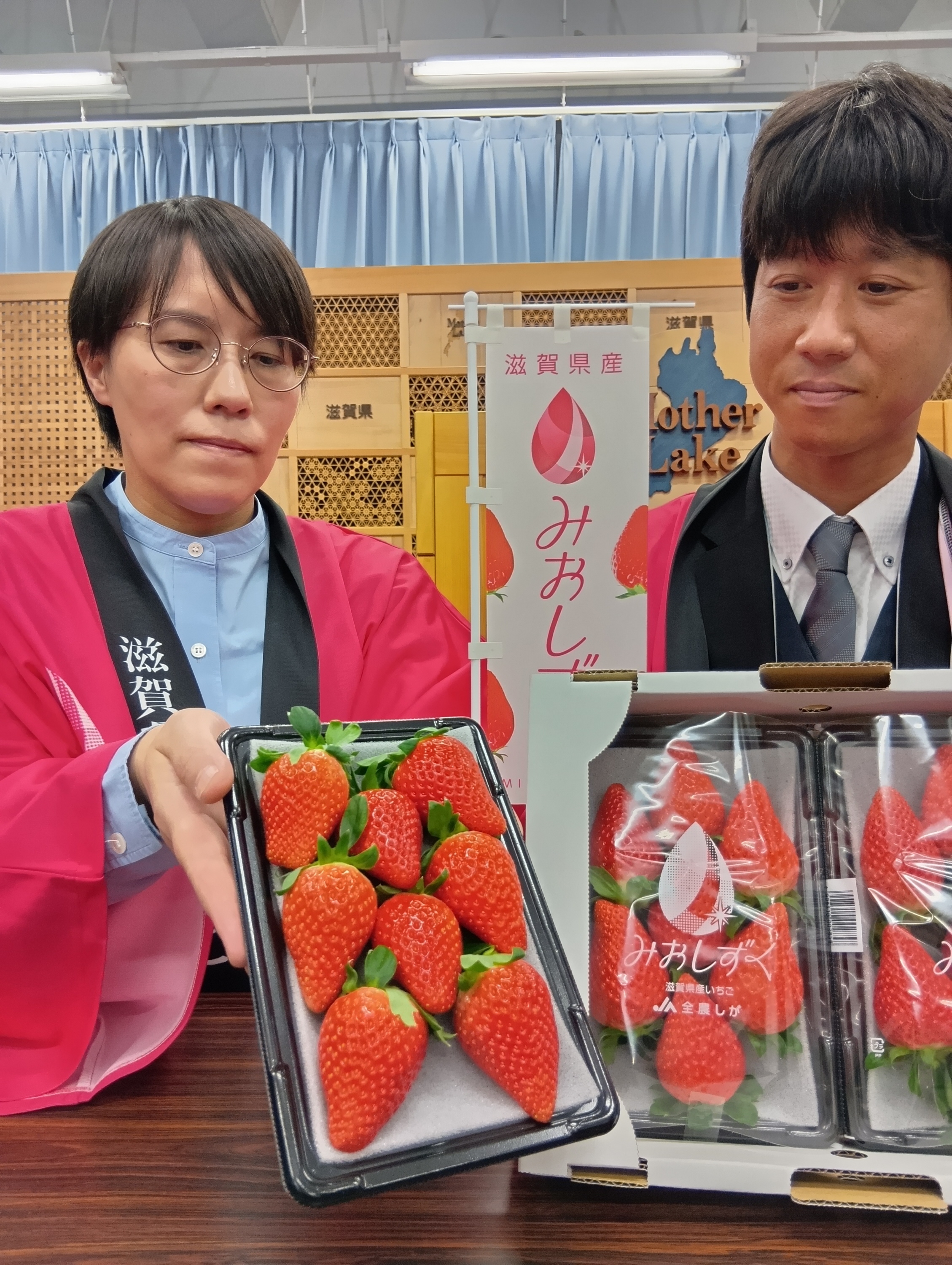 いちご(感謝) 大粒でさわやかな甘み 滋賀県のイチゴ「みおしずく」今月から本格販売