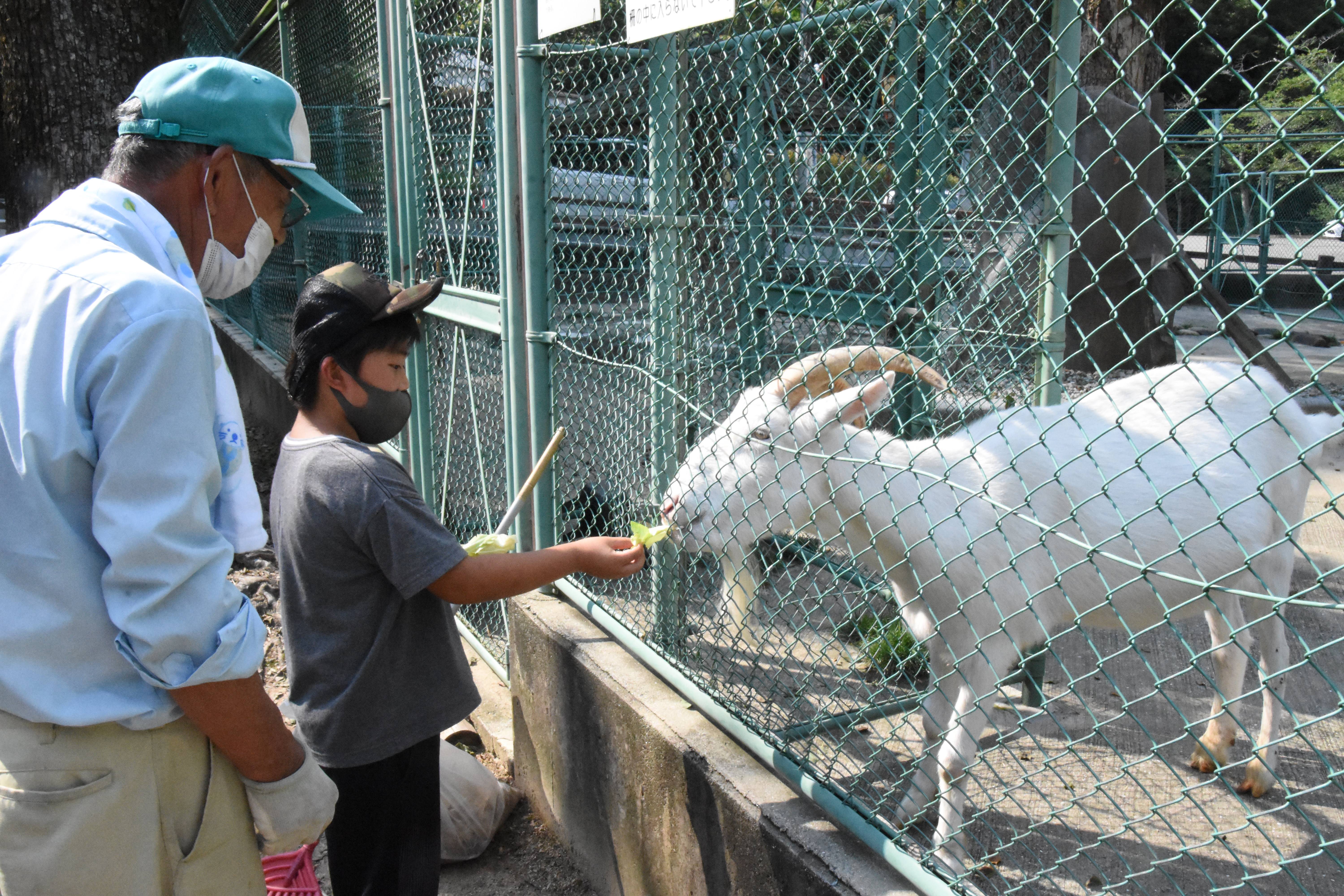 大量死を招いた動物園 ５年で４７匹の衝撃 1 2ページ 産経ニュース